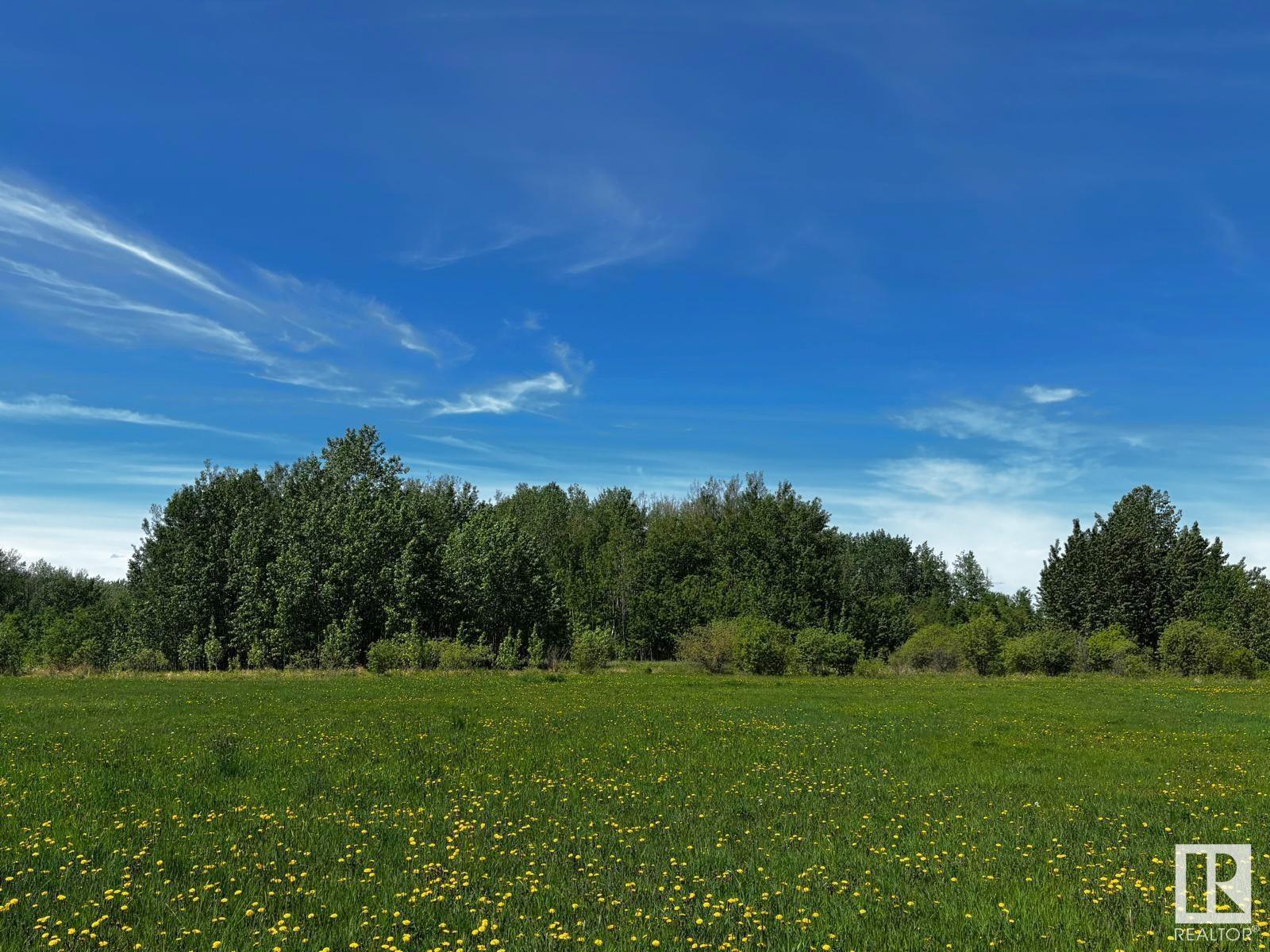 48112 Range Road 55, Rural Brazeau County, Alberta  T0C 0S0 - Photo 38 - E4438770