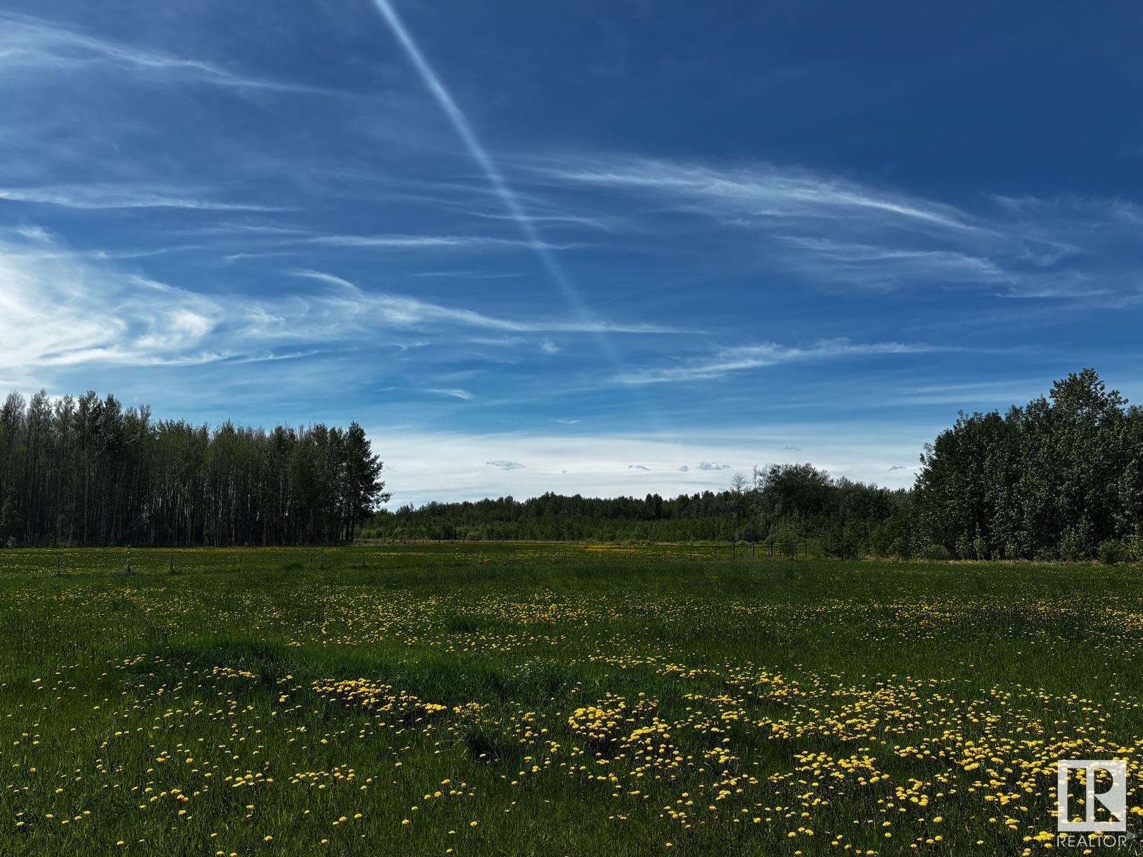 48112 Range Road 55, Rural Brazeau County, Alberta  T0C 0S0 - Photo 57 - E4438770