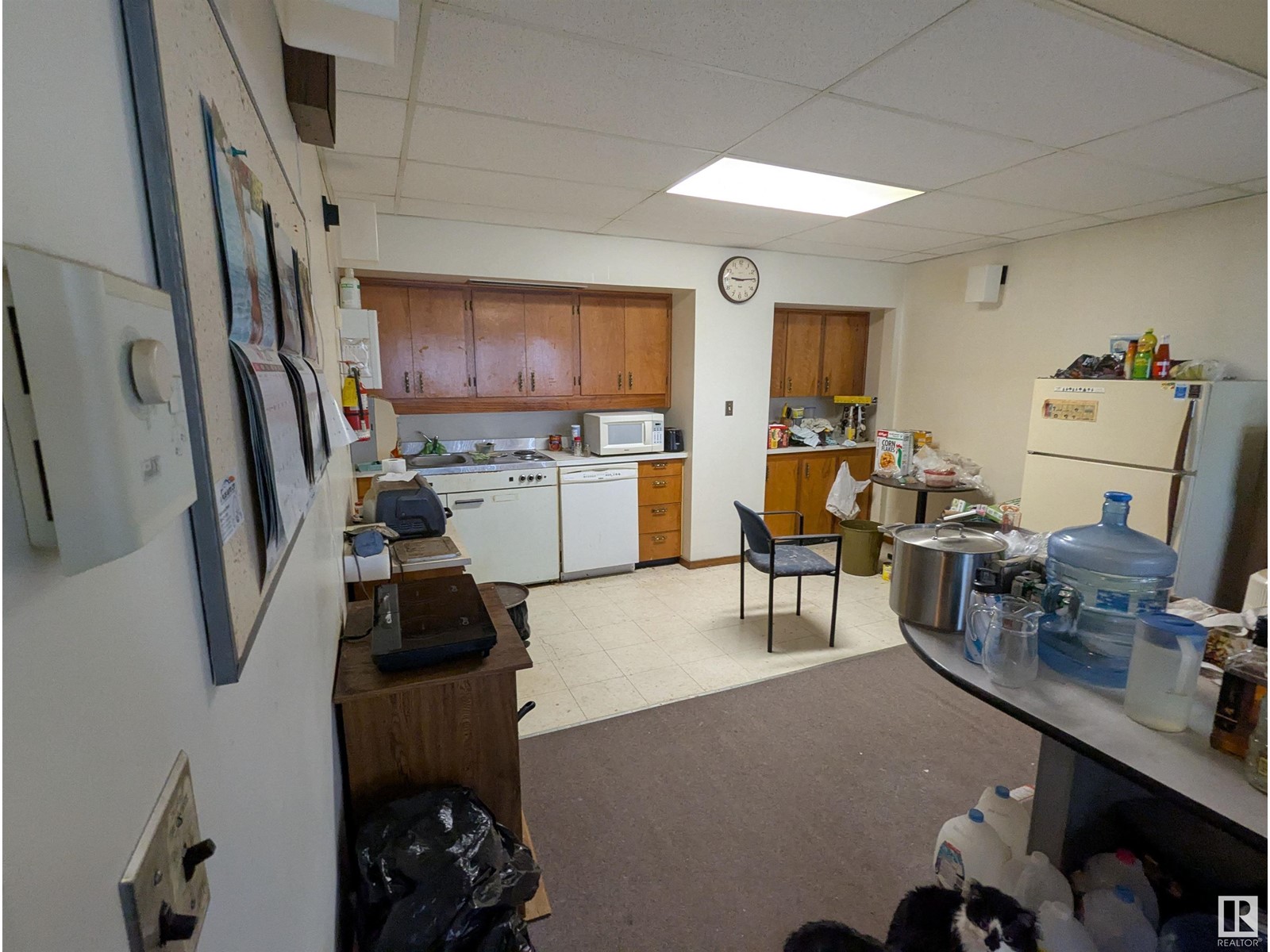 4928 50 St, Sangudo, Alberta  T0E 2A0 - Photo 56 - E4438849