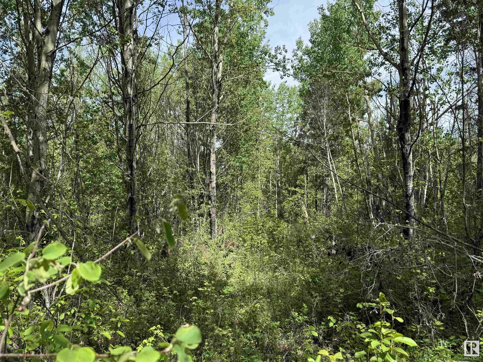15 11032 Hwy 13, Rural Wetaskiwin County, Alberta  T0C 2V0 - Photo 15 - E4438977