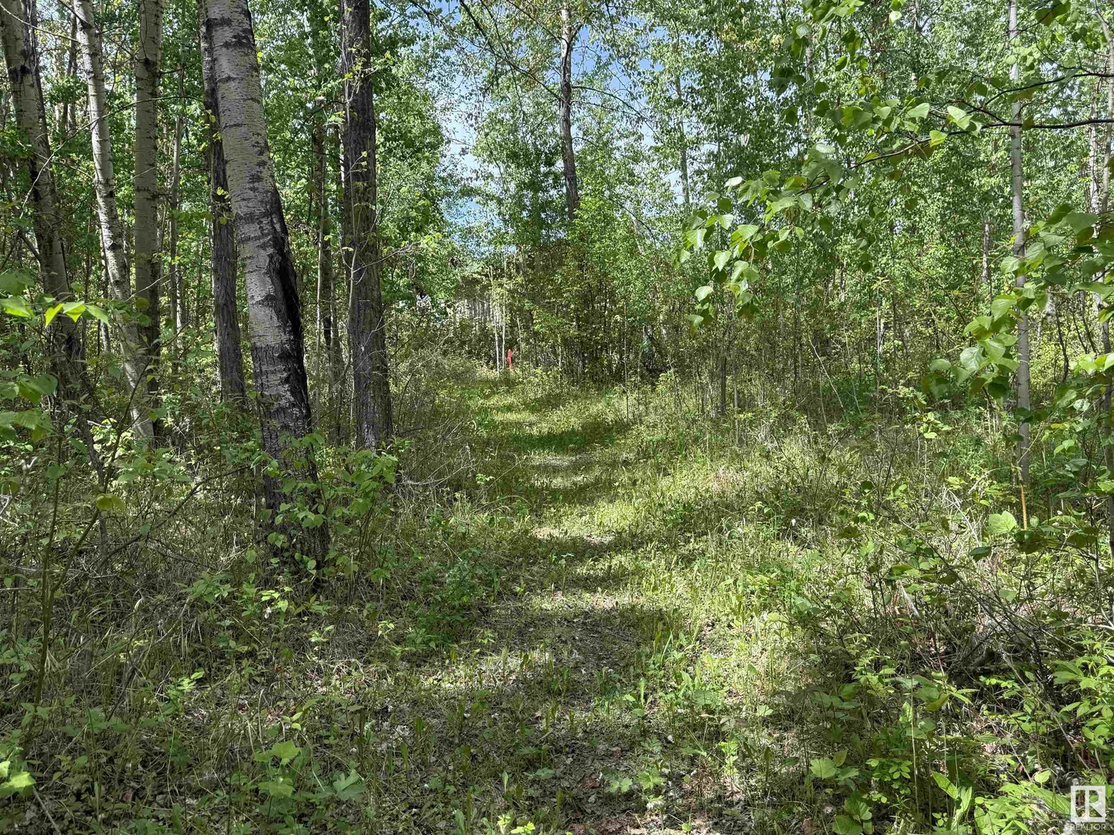 15 11032 Hwy 13, Rural Wetaskiwin County, Alberta  T0C 2V0 - Photo 16 - E4438977