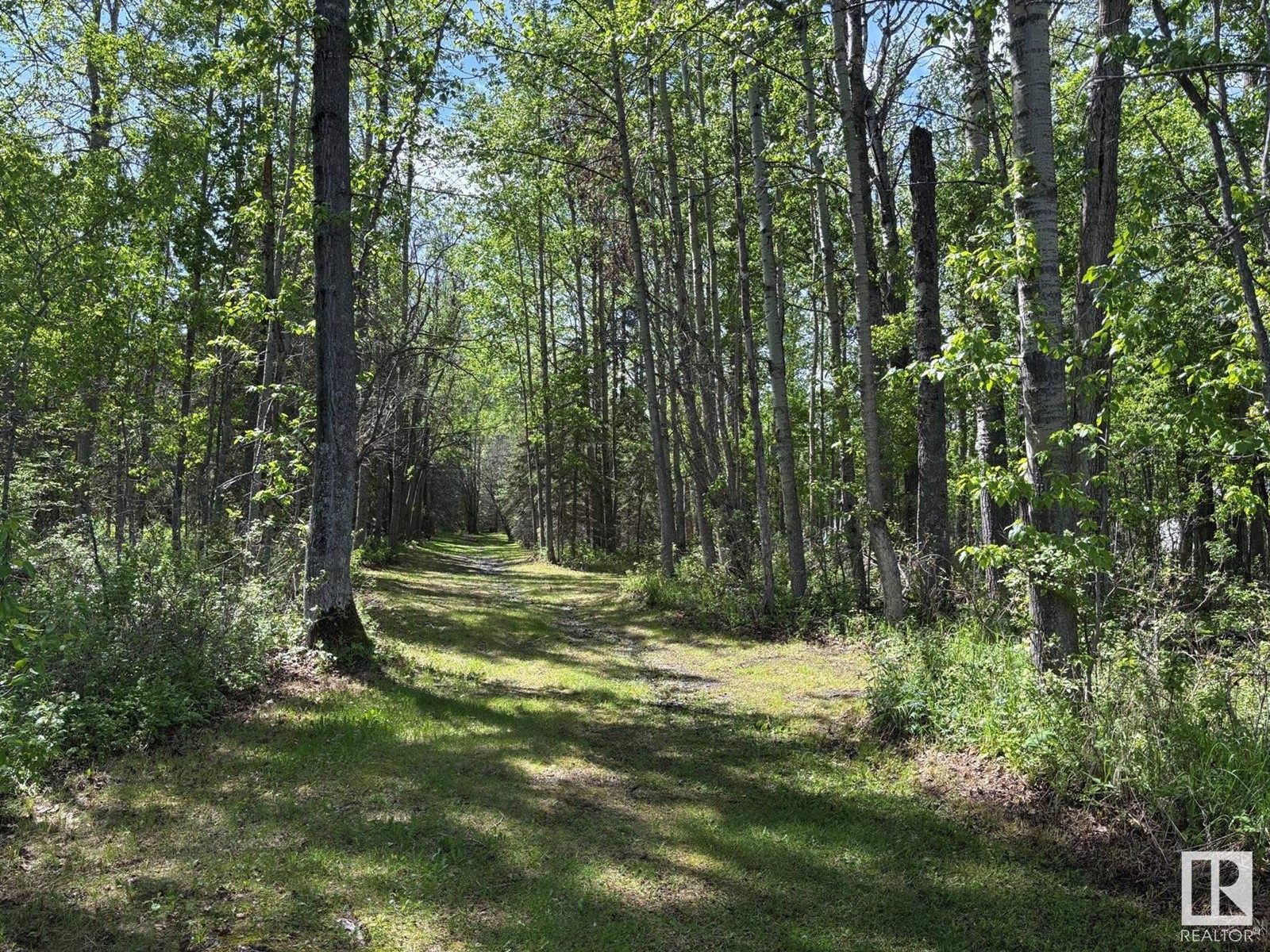 #82 464009 Rge Road 63, Rural Wetaskiwin County, Alberta  T0C 0T0 - Photo 11 - E4439170