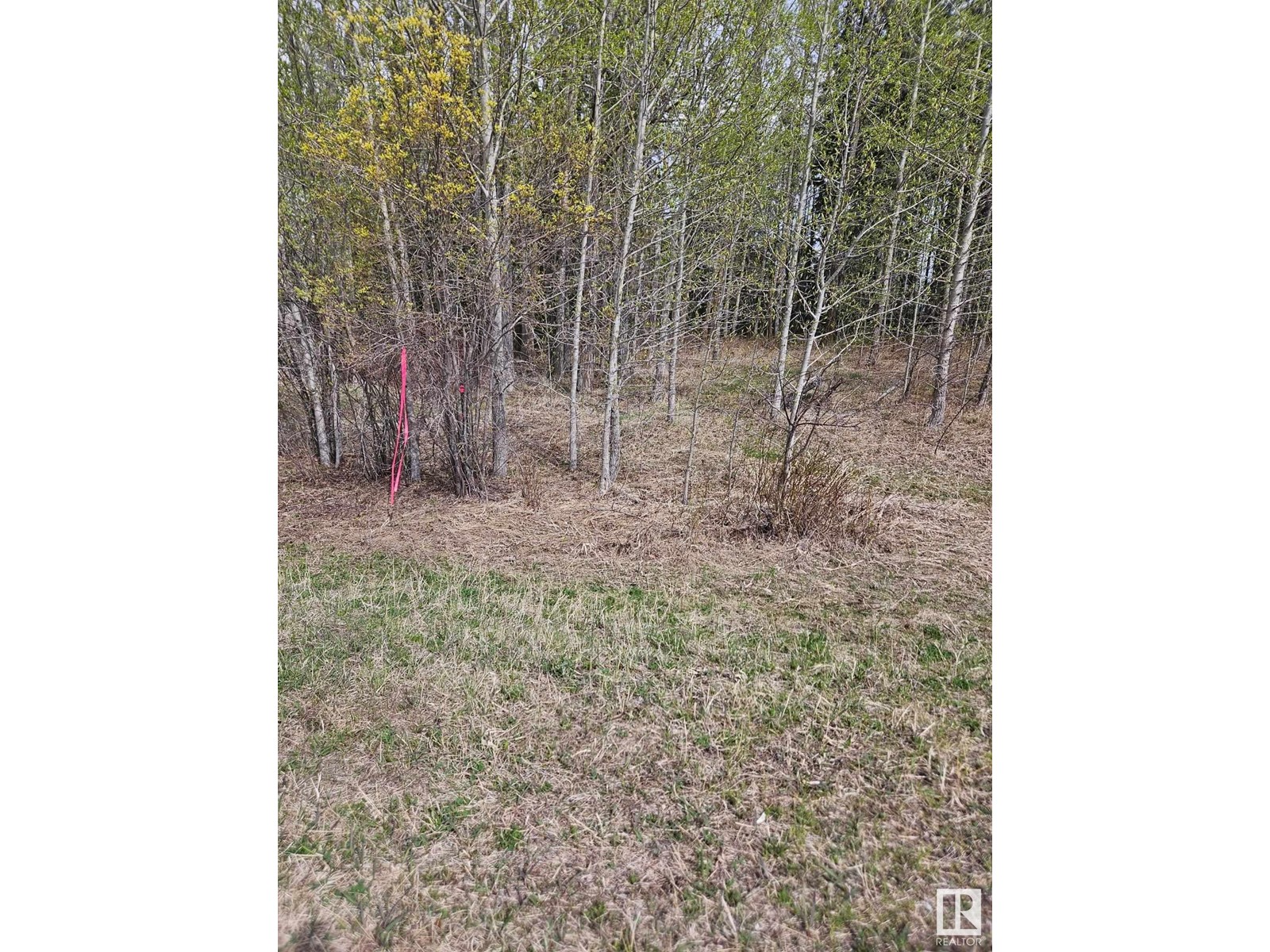 00 Nw-9-54-5-5, Rural Lac Ste. Anne County, Alberta  T0E 1H0 - Photo 13 - E4439509