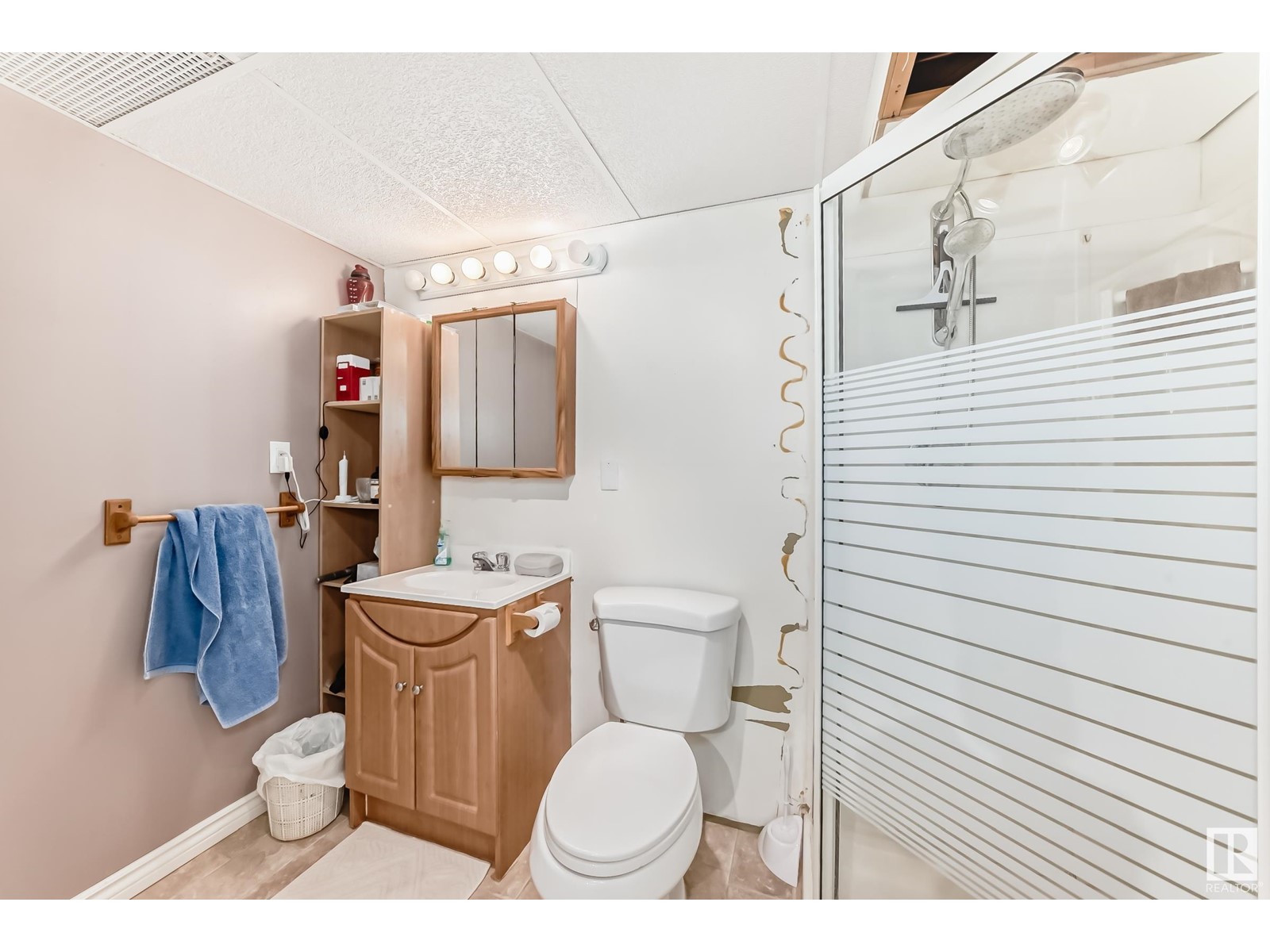 5145 49 Av, Millet, Alberta  T0C 1Z0 - Photo 38 - E4439747