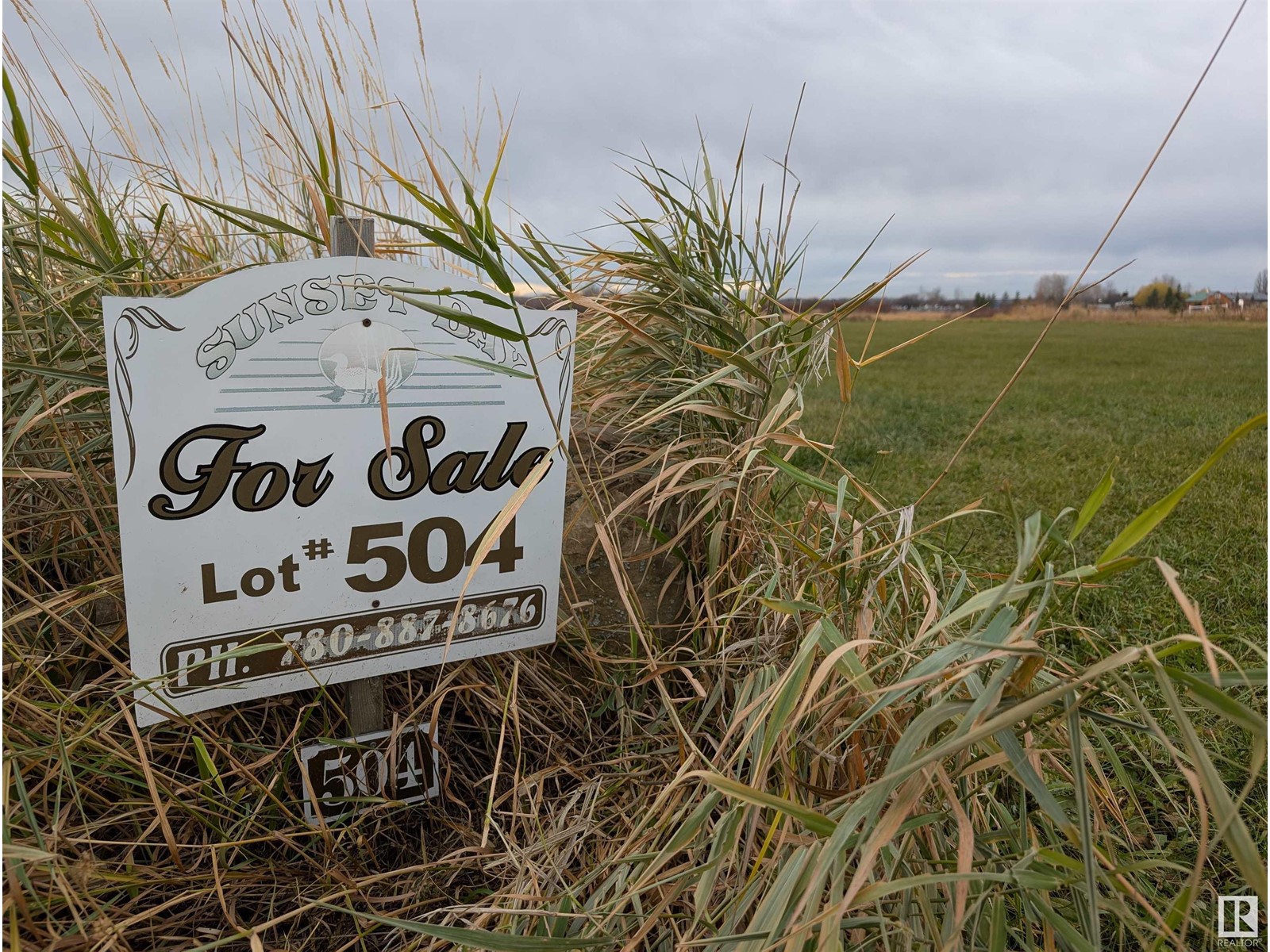 461032 Hwy 13, Rural Wetaskiwin County, Alberta  T0C 0T0 - Photo 8 - E4439767