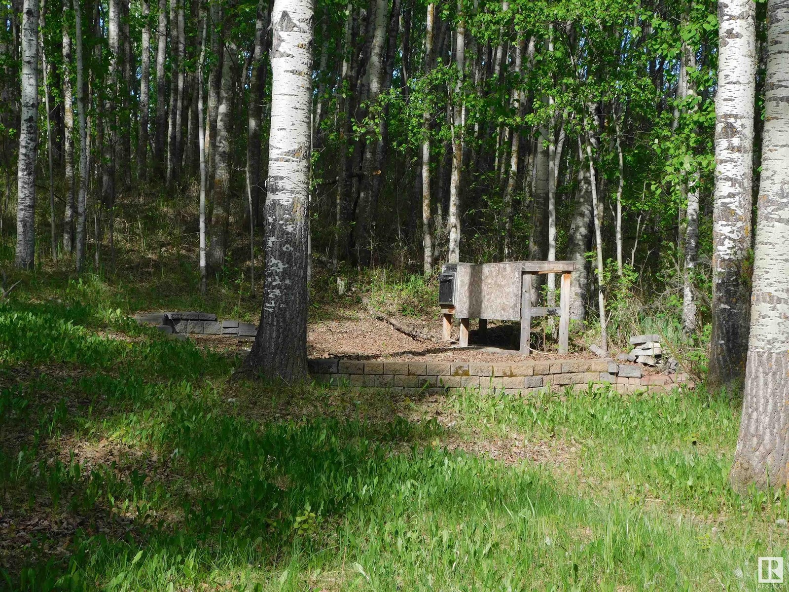 52123 Rge Road 25, Rural Parkland County, Alberta  T0E 0H0 - Photo 28 - E4439779