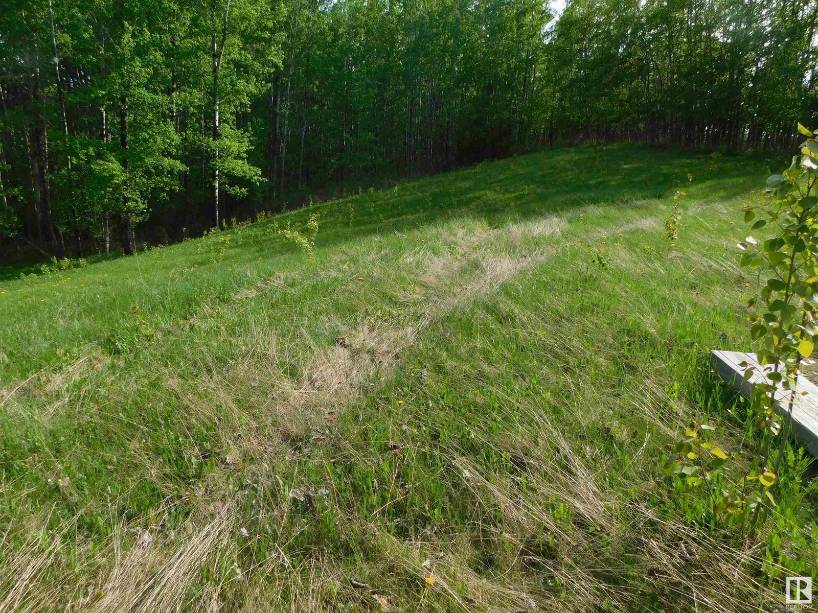 52123 Rge Road 25, Rural Parkland County, Alberta  T0E 0H0 - Photo 29 - E4439779