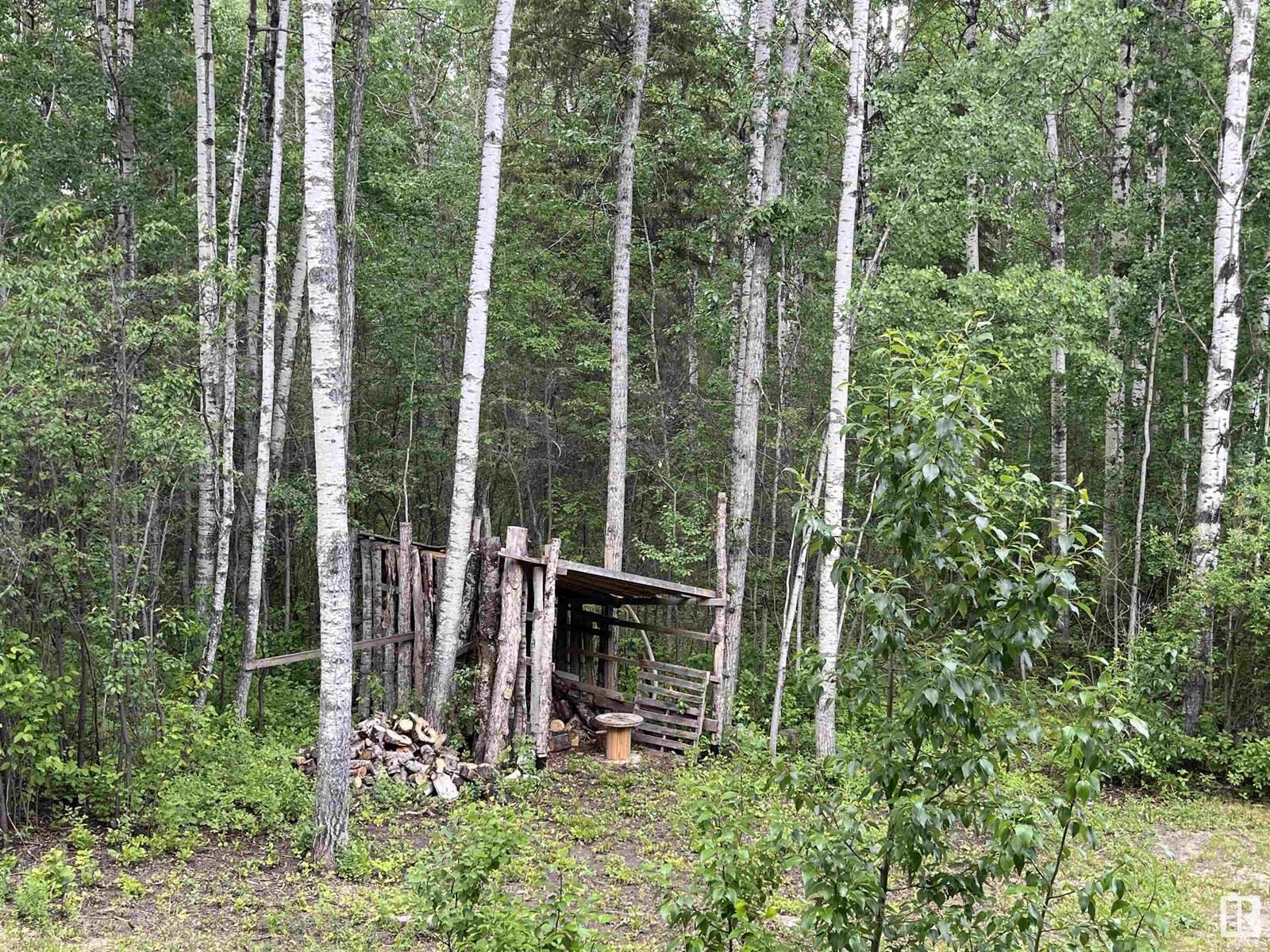 56403 Rge Road 43, Rural Lac Ste. Anne County, Alberta  T0E 0X0 - Photo 39 - E4440180