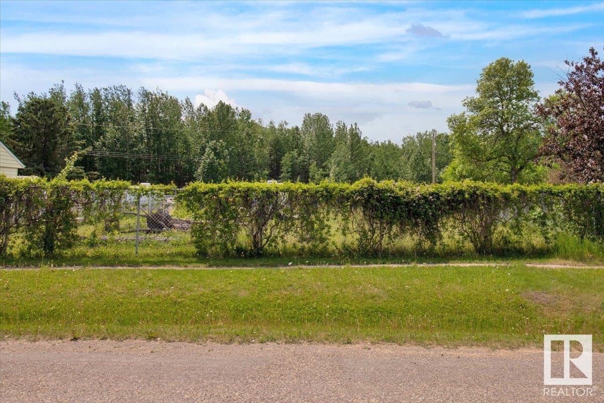 4713 34 St, Rural Wetaskiwin County, Alberta  T0C 2C0 - Photo 3 - E4440348