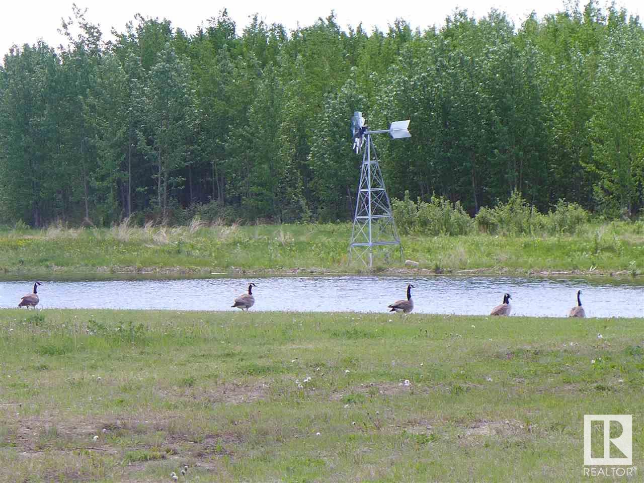 5 3410 Ste Anne Tr, Rural Lac Ste. Anne County, Alberta  T0E 0A1 - Photo 39 - E4440419