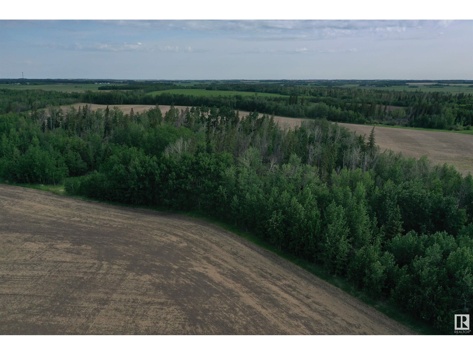 On Highway 616, Rural Wetaskiwin County, Alberta  T0C 1Z0 - Photo 13 - E4440791