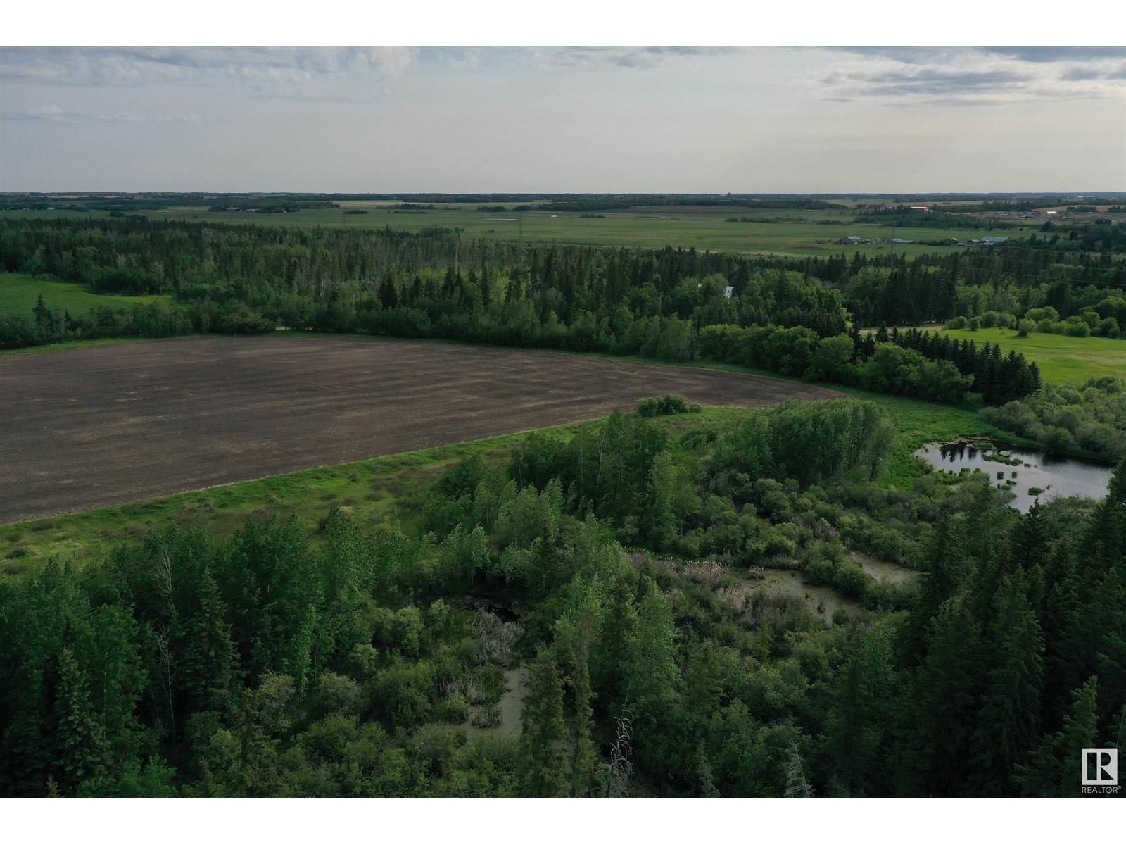 On Highway 616, Rural Wetaskiwin County, Alberta  T0C 1Z0 - Photo 14 - E4440791