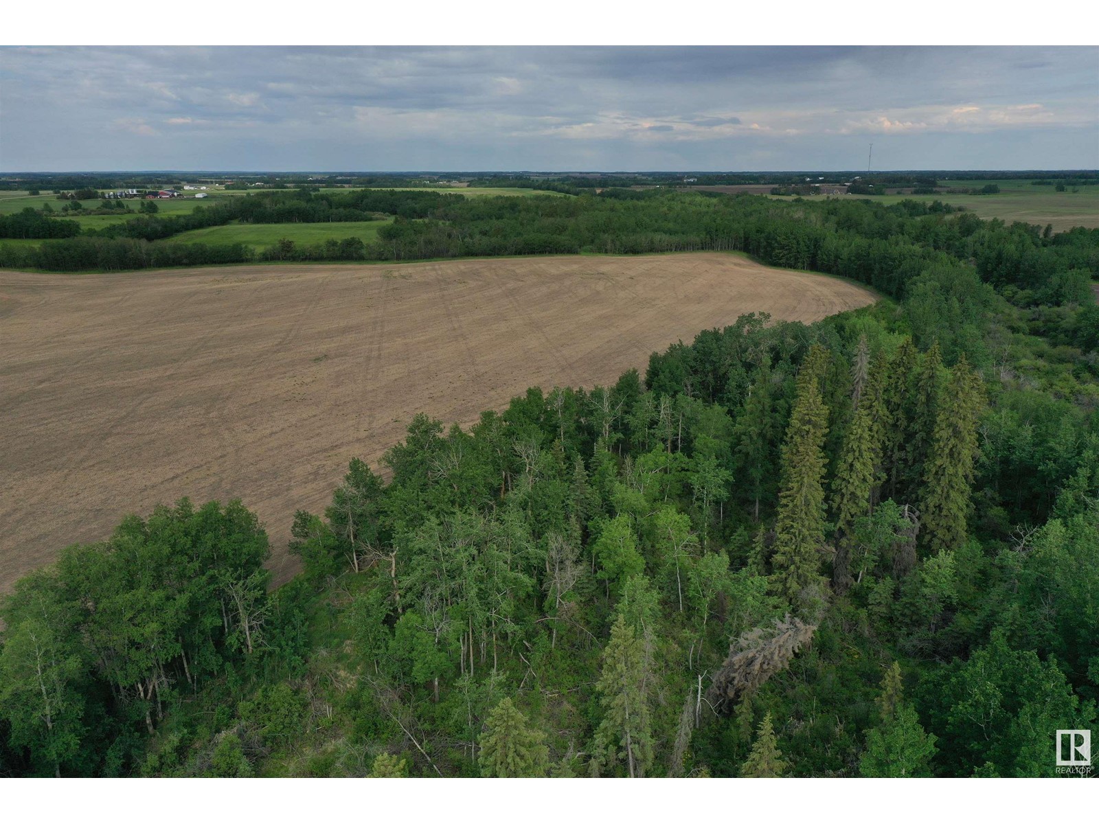 On Highway 616, Rural Wetaskiwin County, Alberta  T0C 1Z0 - Photo 15 - E4440791