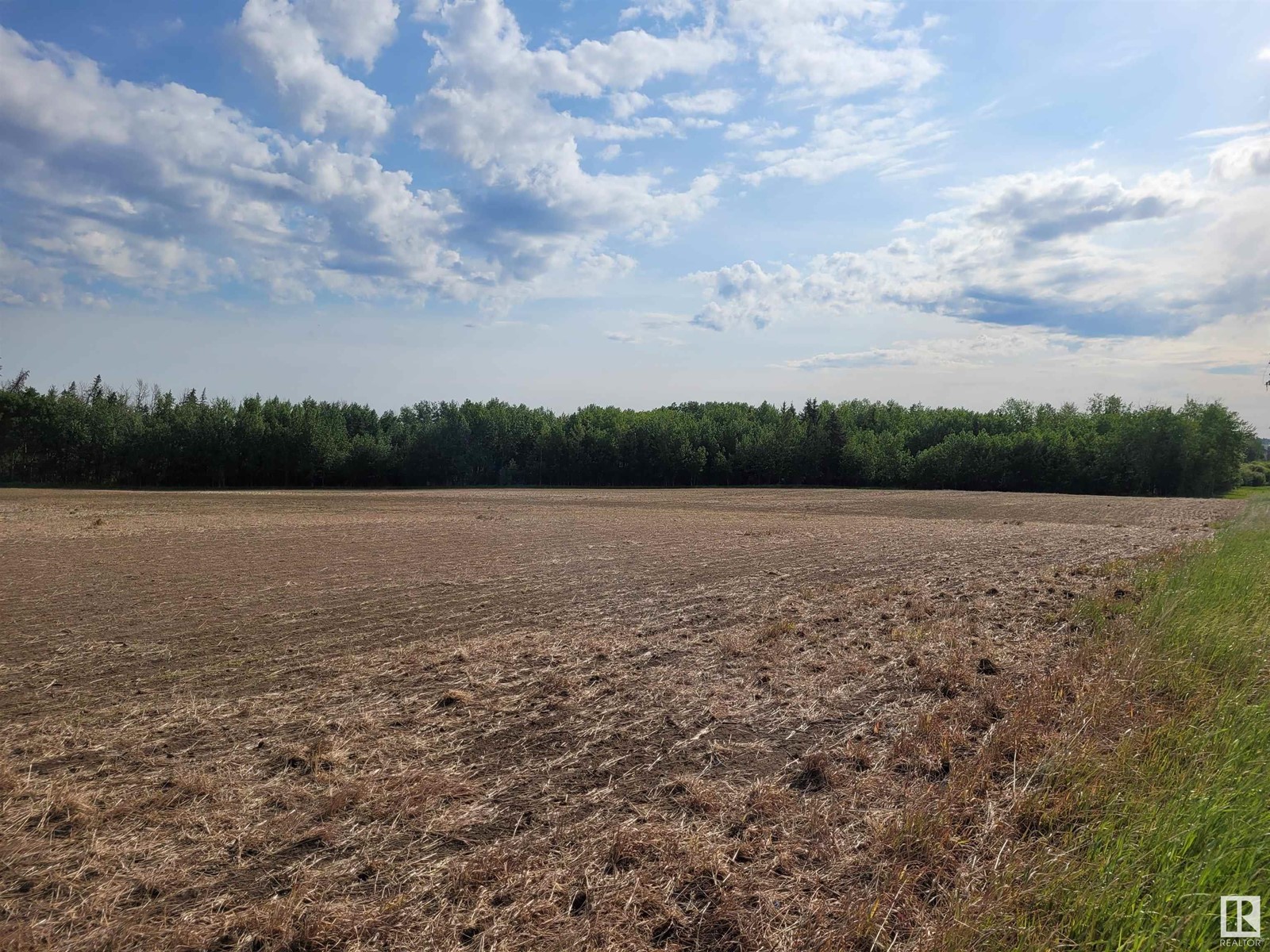 On Highway 616, Rural Wetaskiwin County, Alberta  T0C 1Z0 - Photo 16 - E4440791