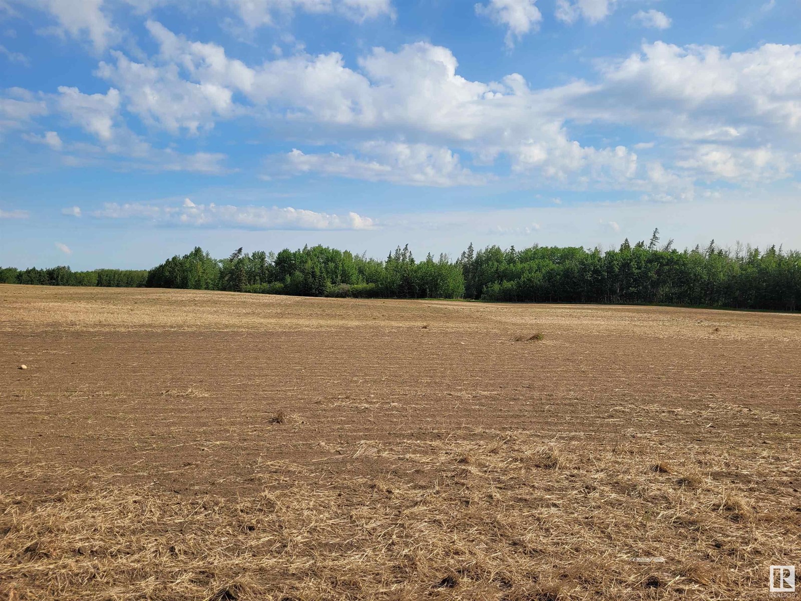 On Highway 616, Rural Wetaskiwin County, Alberta  T0C 1Z0 - Photo 17 - E4440791