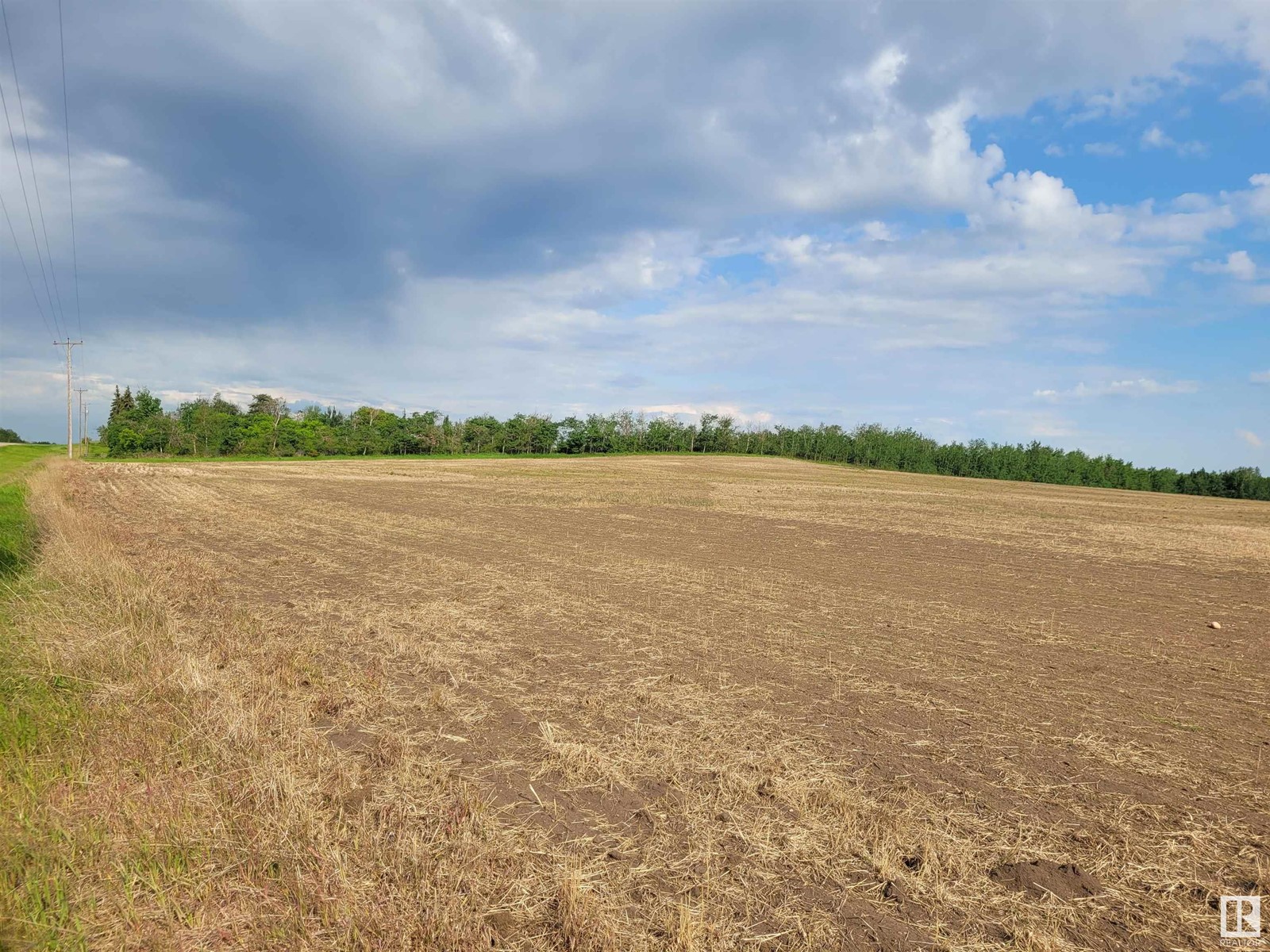 On Highway 616, Rural Wetaskiwin County, Alberta  T0C 1Z0 - Photo 19 - E4440791