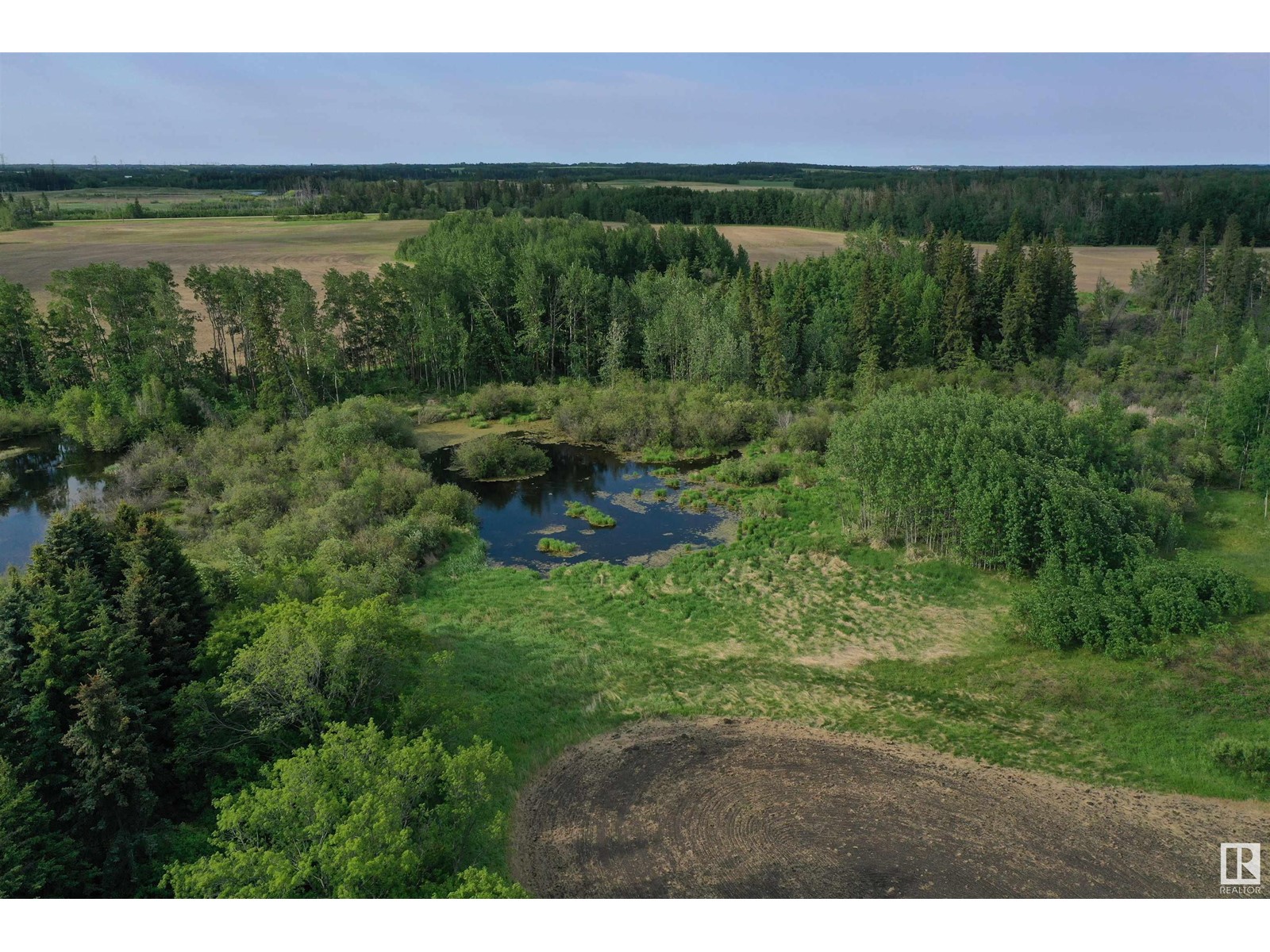 On Highway 616, Rural Wetaskiwin County, Alberta  T0C 1Z0 - Photo 3 - E4440791