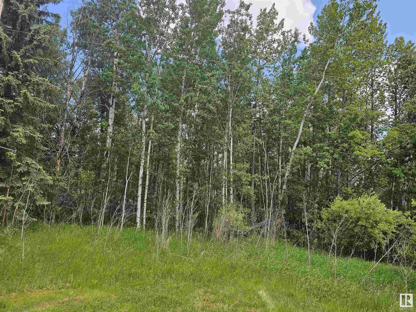 82 4418 Hwy 633, Rural Lac Ste. Anne County, Alberta  T0E 0L0 - Photo 4 - E4441166