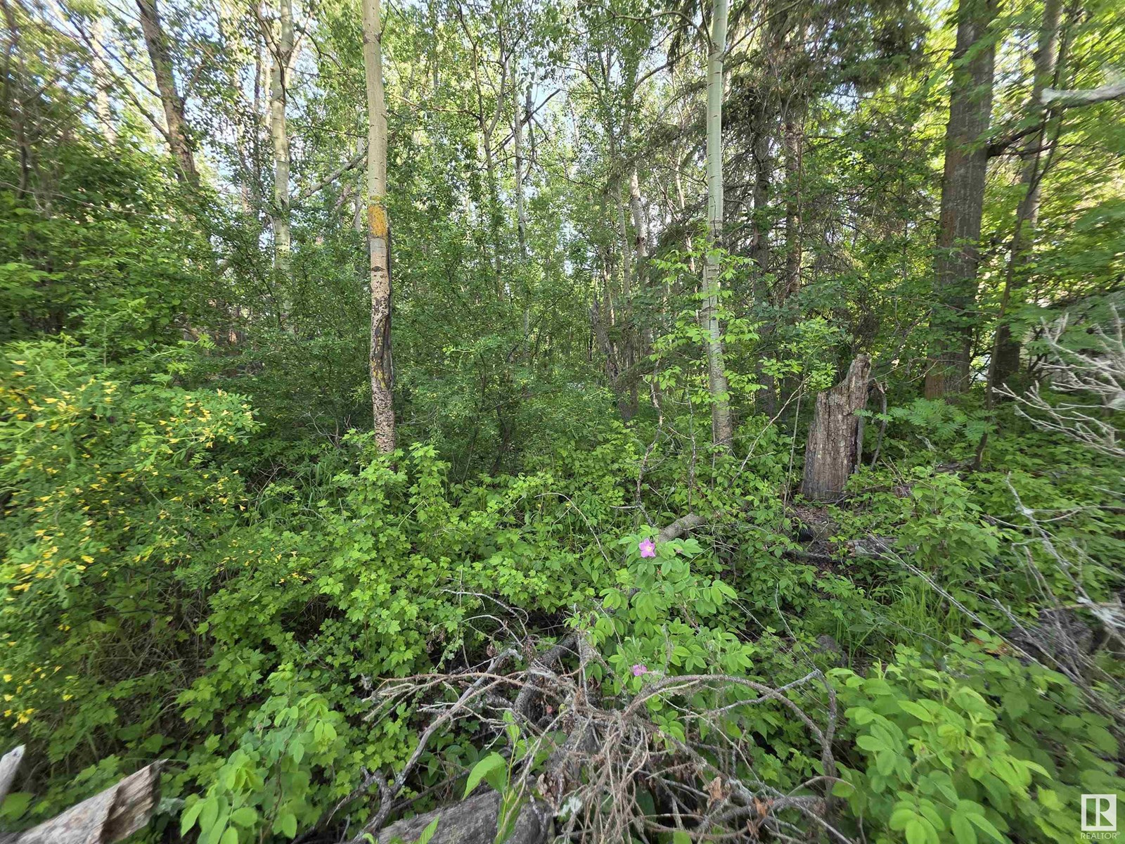 10035 Hwy 13, Rural Wetaskiwin County, Alberta  T0C 2V0 - Photo 4 - E4441178