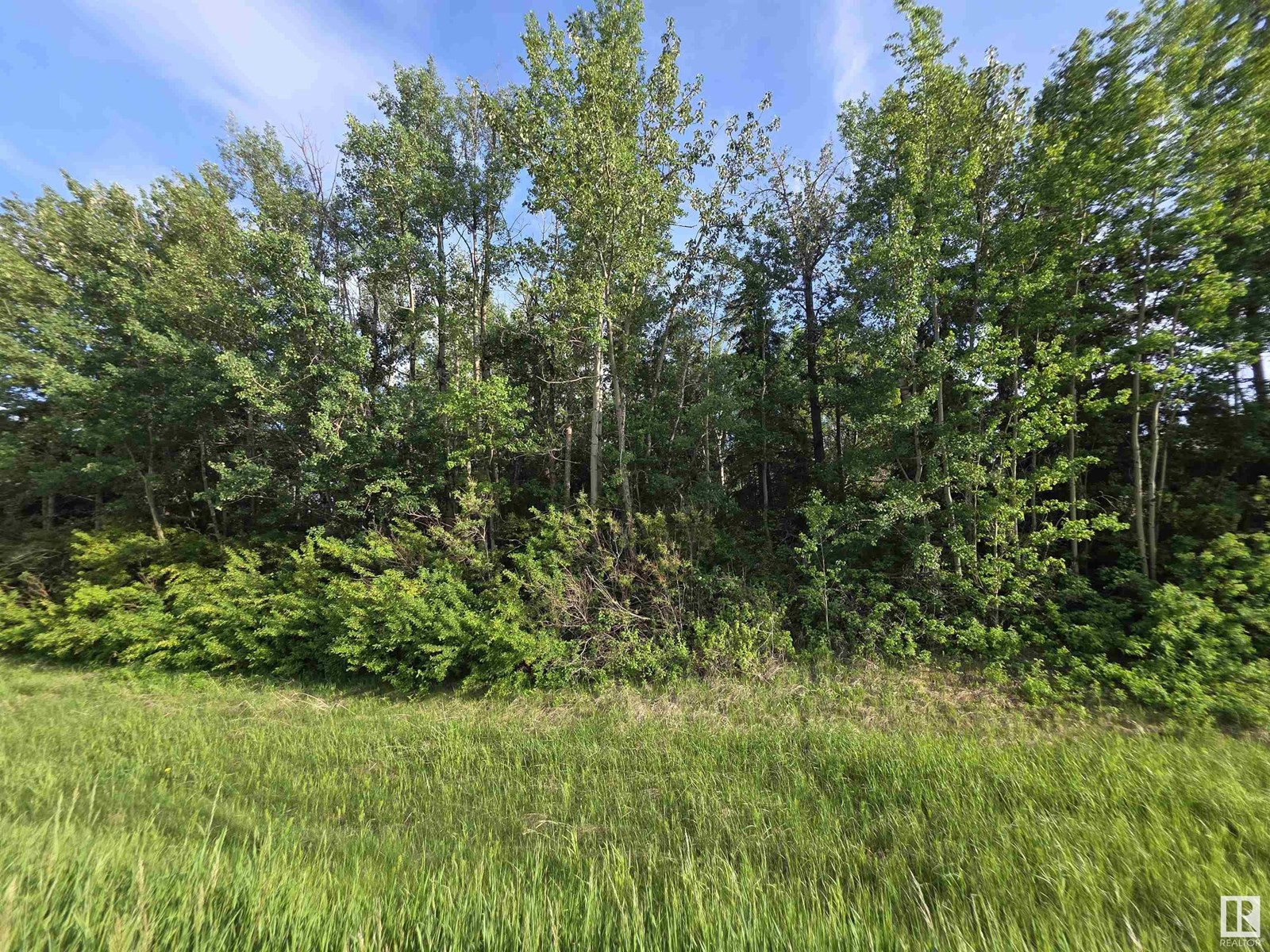10035 Hwy 13, Rural Wetaskiwin County, Alberta  T0C 2V0 - Photo 5 - E4441178