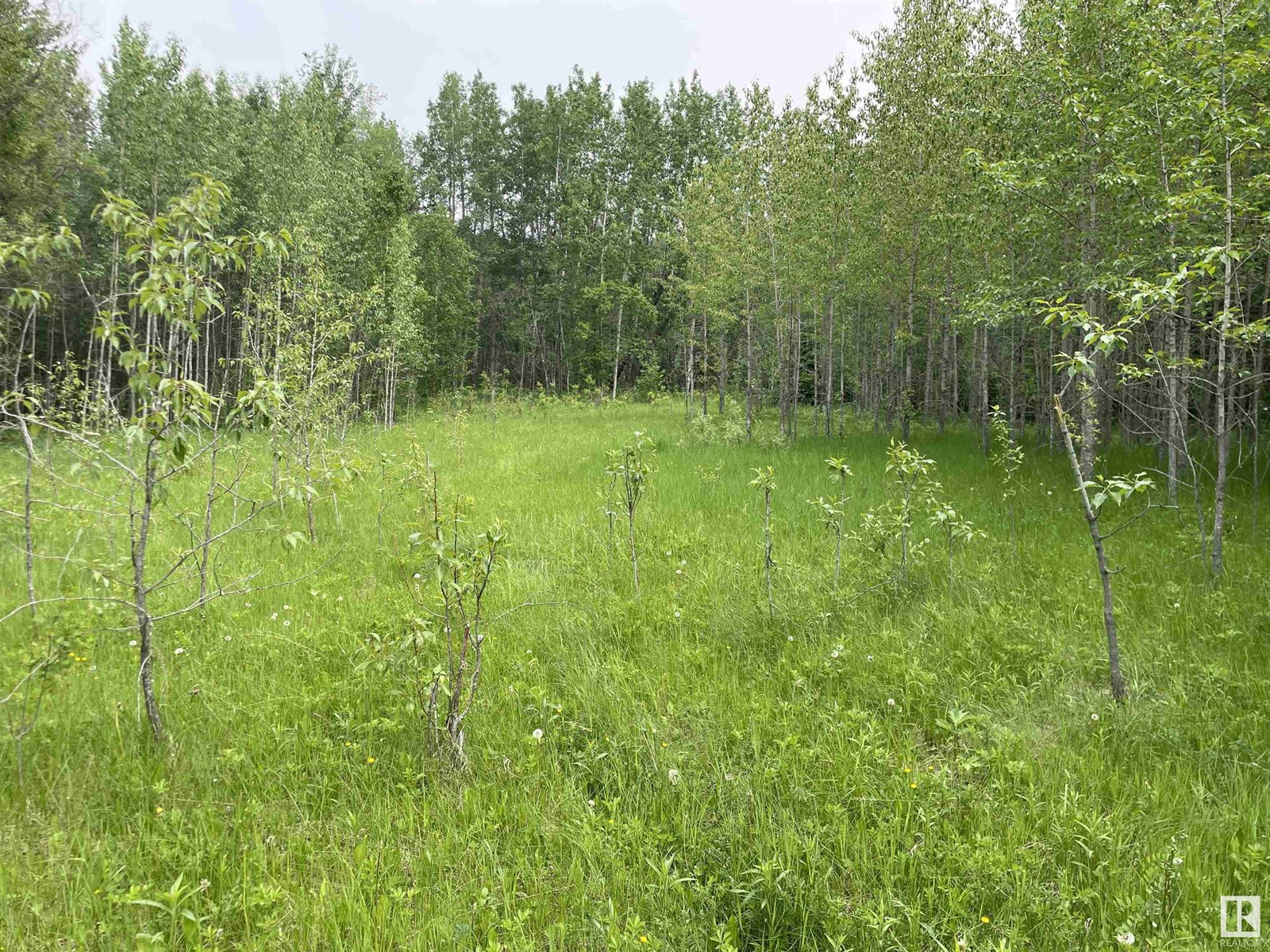 50 Street Mulhurst Bay, Rural Wetaskiwin County, Alberta  T0C 2C0 - Photo 2 - E4441324
