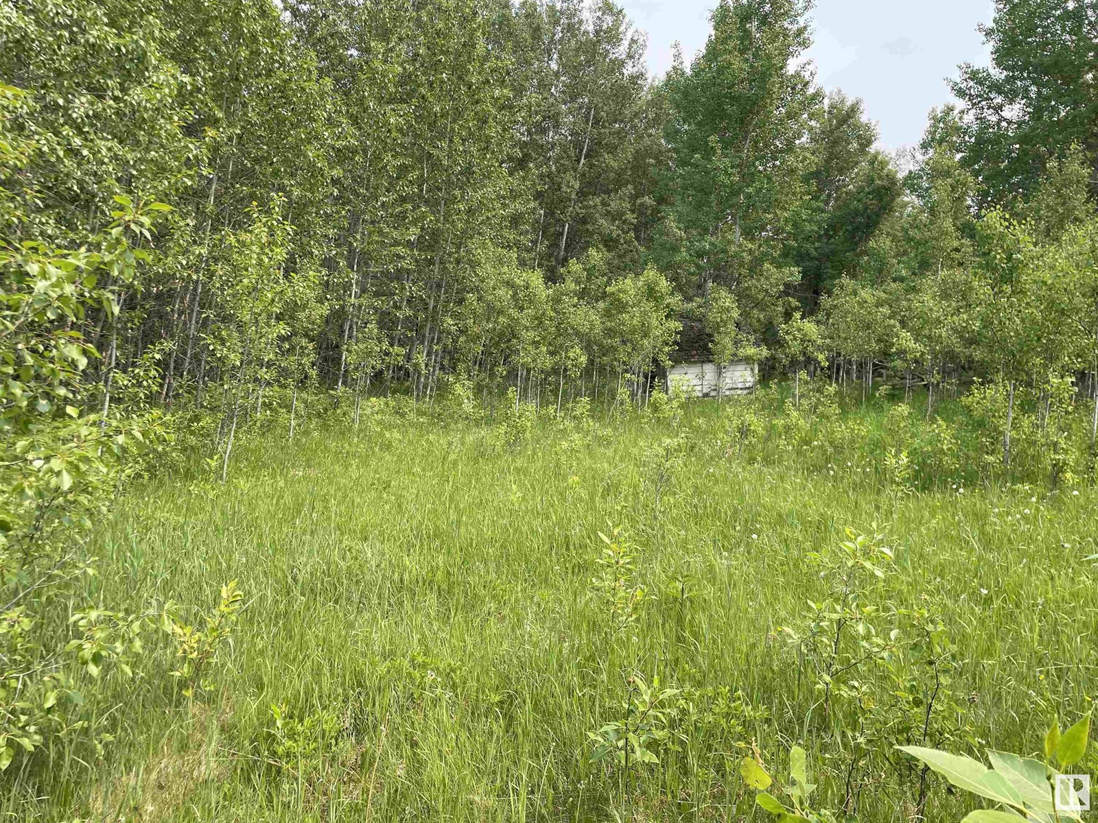 50 Street Mulhurst Bay, Rural Wetaskiwin County, Alberta  T0C 2C0 - Photo 5 - E4441324