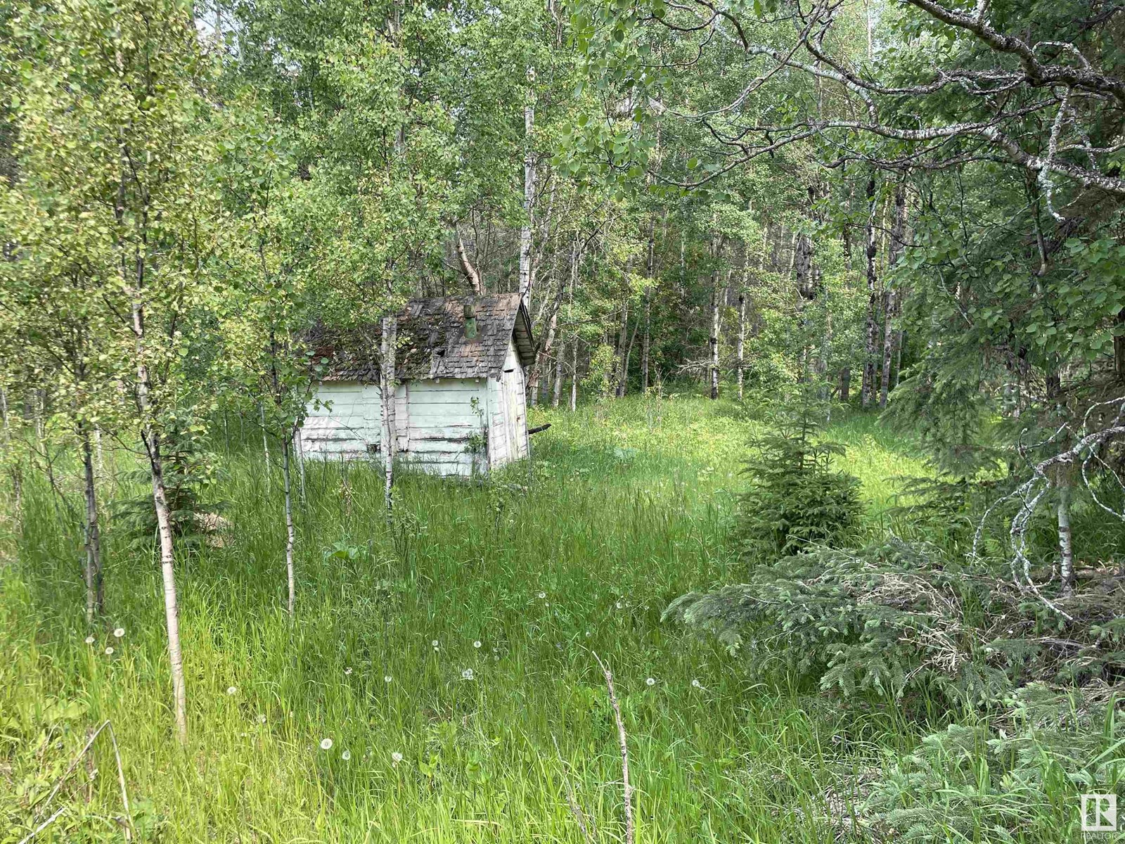 50 Street Mulhurst Bay, Rural Wetaskiwin County, Alberta  T0C 2C0 - Photo 6 - E4441324