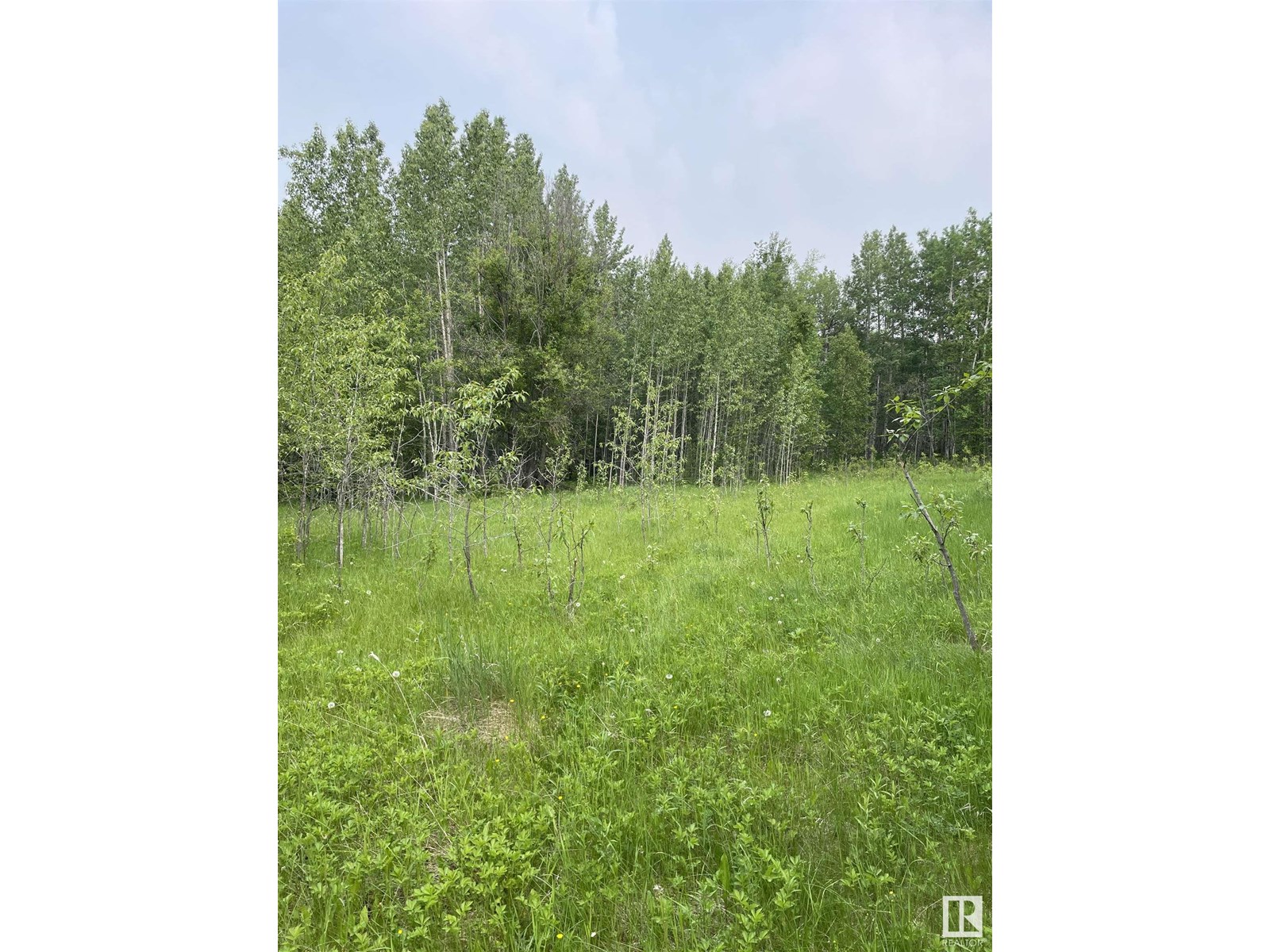 50 Street Mulhurst Bay, Rural Wetaskiwin County, Alberta  T0C 2C0 - Photo 8 - E4441324