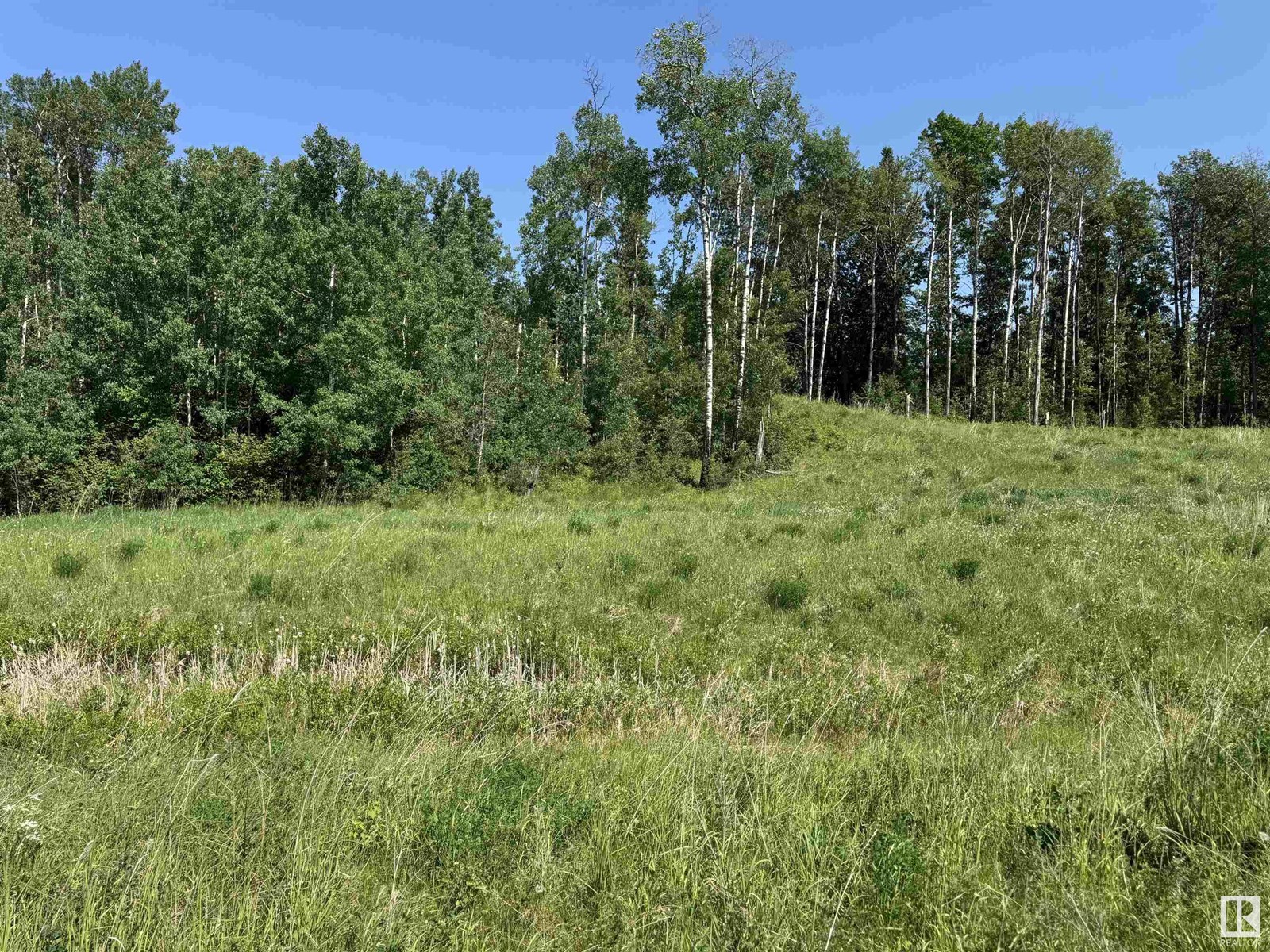 Na, Rural Lac Ste. Anne County, Alberta  T0E 0A0 - Photo 11 - E4441726