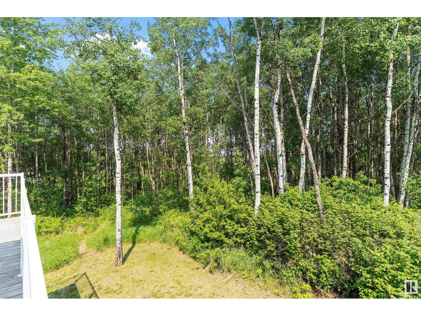 22244 Twp Road 505, Rural Leduc County, Alberta  T0M 2M3 - Photo 47 - E4442231