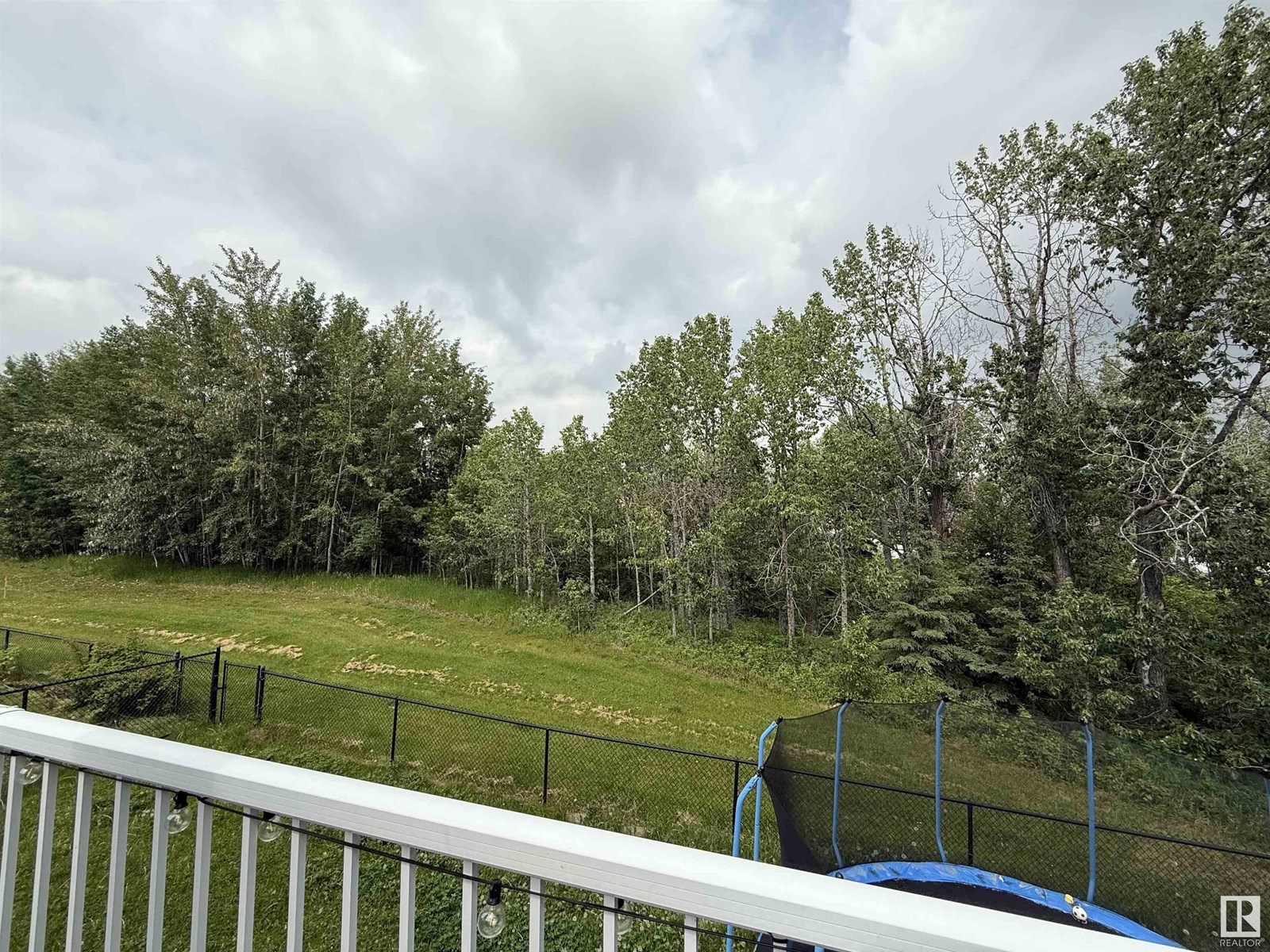 4018 47 Av, Drayton Valley, Alberta  T7A 0A8 - Photo 24 - E4442379
