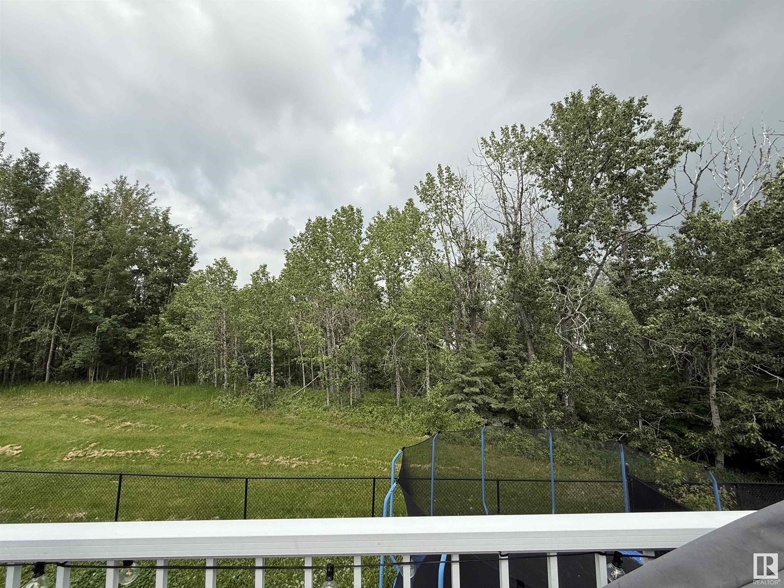 4018 47 Av, Drayton Valley, Alberta  T7A 0A8 - Photo 25 - E4442379