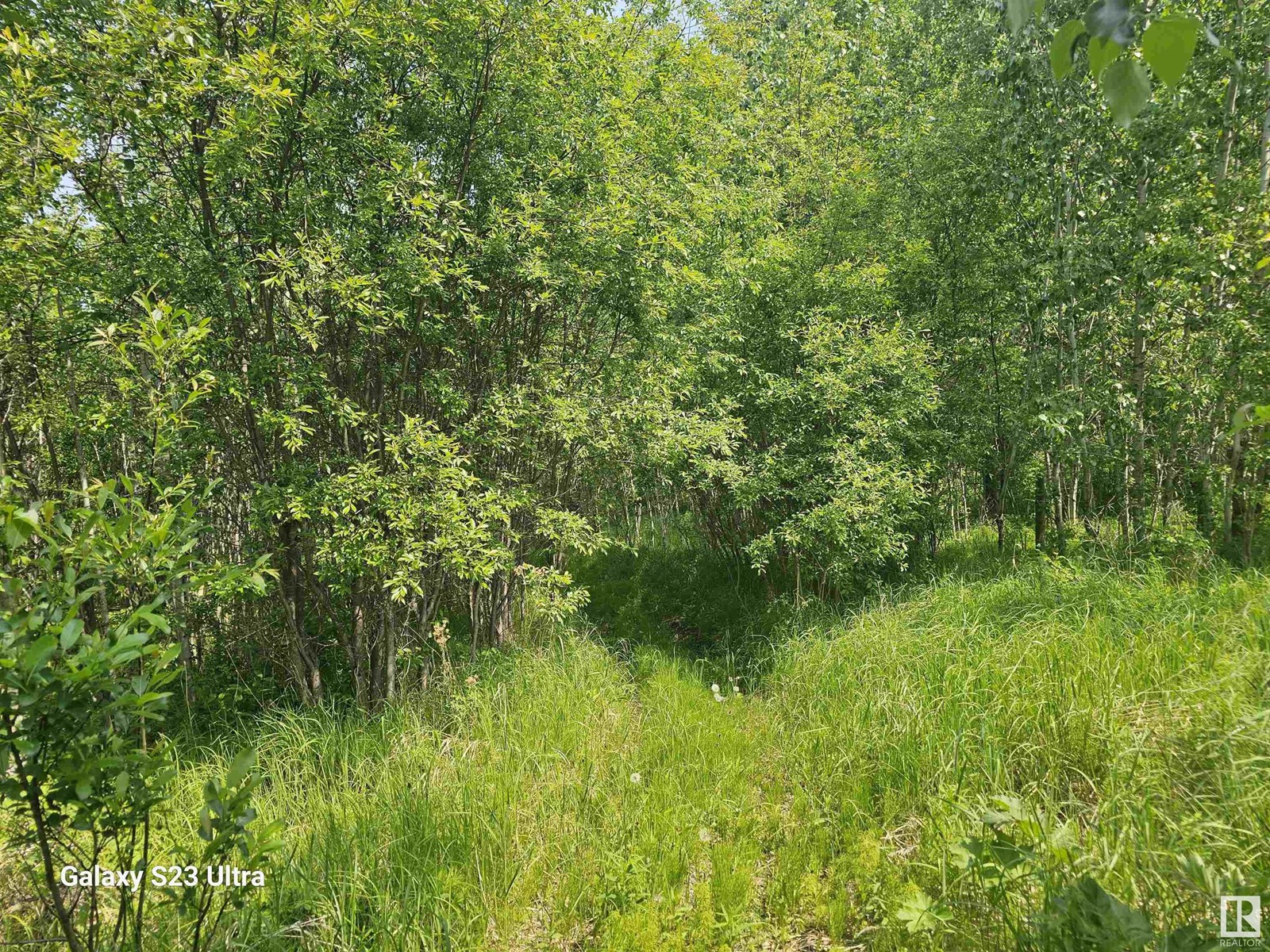 55227 Rge Road 33, Rural Lac Ste. Anne County, Alberta  T0E 1A0 - Photo 55 - E4442682