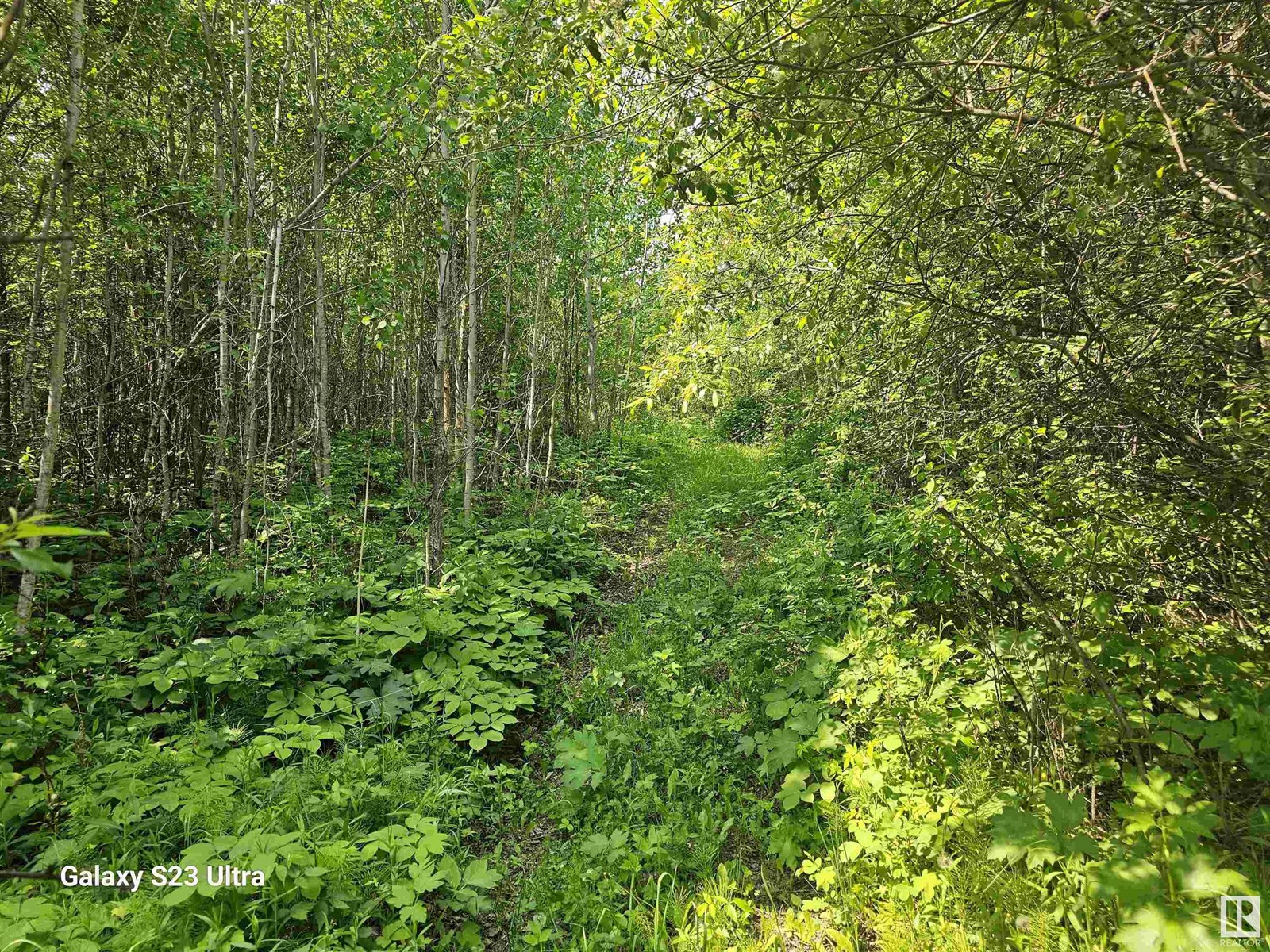 55227 Rge Road 33, Rural Lac Ste. Anne County, Alberta  T0E 1A0 - Photo 56 - E4442682