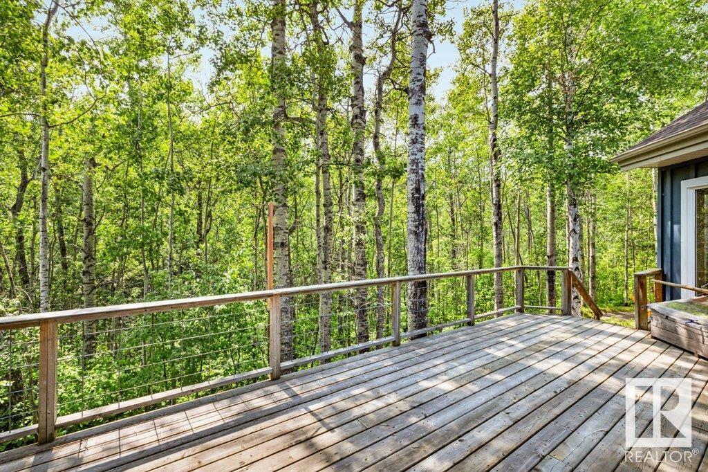 134 Heron Point Close, Rural Wetaskiwin County, Alberta  T0C 2V0 - Photo 44 - E4442721