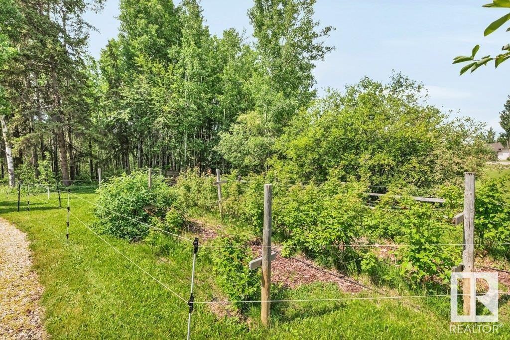 134 Heron Point Close, Rural Wetaskiwin County, Alberta  T0C 2V0 - Photo 58 - E4442721