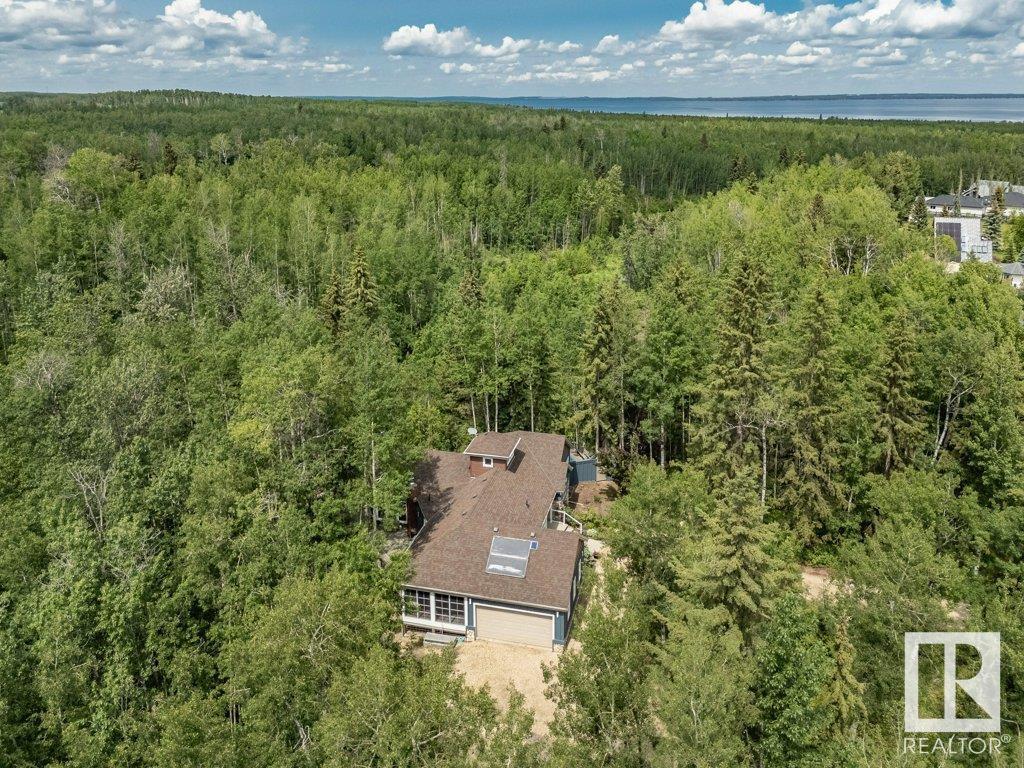 134 Heron Point Close, Rural Wetaskiwin County, Alberta  T0C 2V0 - Photo 61 - E4442721