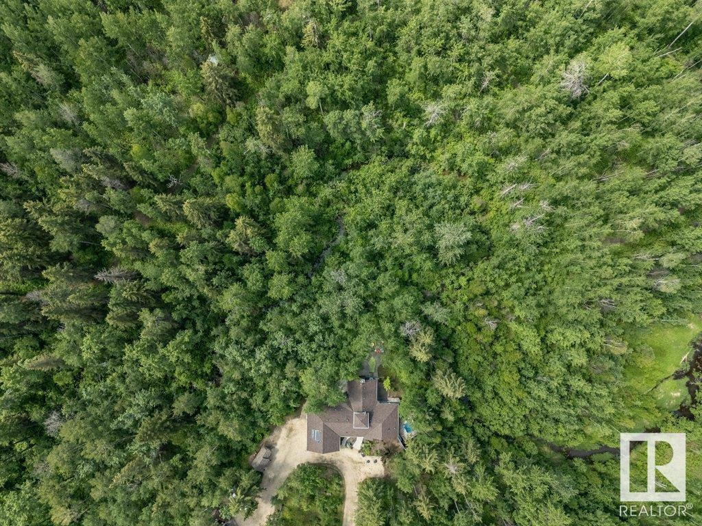 134 Heron Point Close, Rural Wetaskiwin County, Alberta  T0C 2V0 - Photo 68 - E4442721