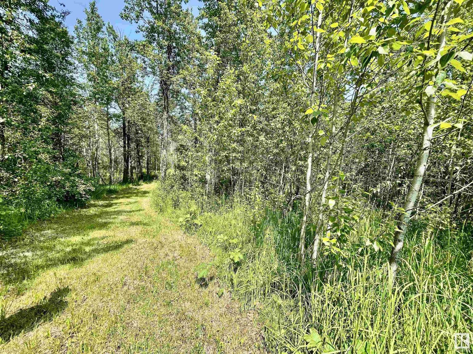 #6 453041 Hwy 771, Rural Wetaskiwin County, Alberta  T0C 2V0 - Photo 12 - E4444328