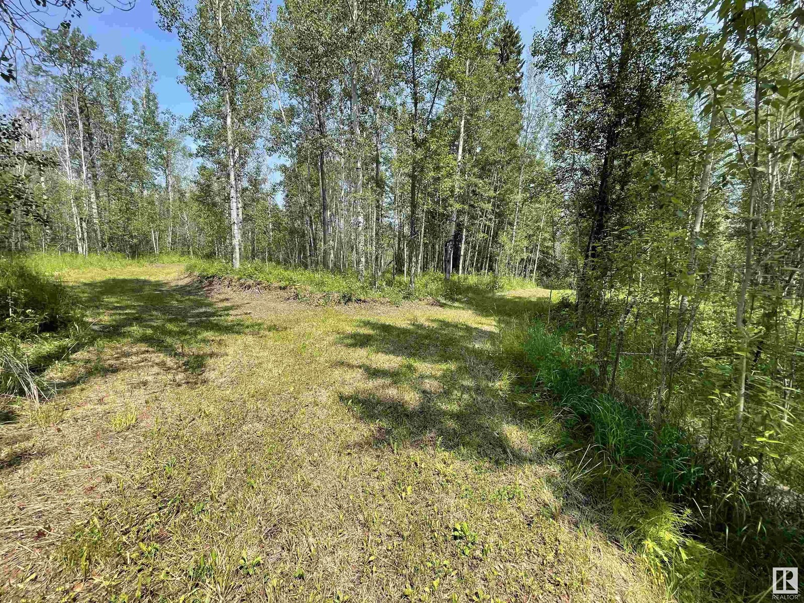#6 453041 Hwy 771, Rural Wetaskiwin County, Alberta  T0C 2V0 - Photo 13 - E4444328