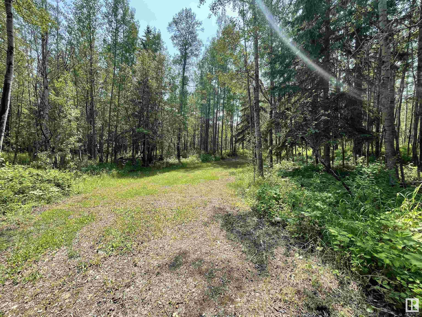 #6 453041 Hwy 771, Rural Wetaskiwin County, Alberta  T0C 2V0 - Photo 14 - E4444328