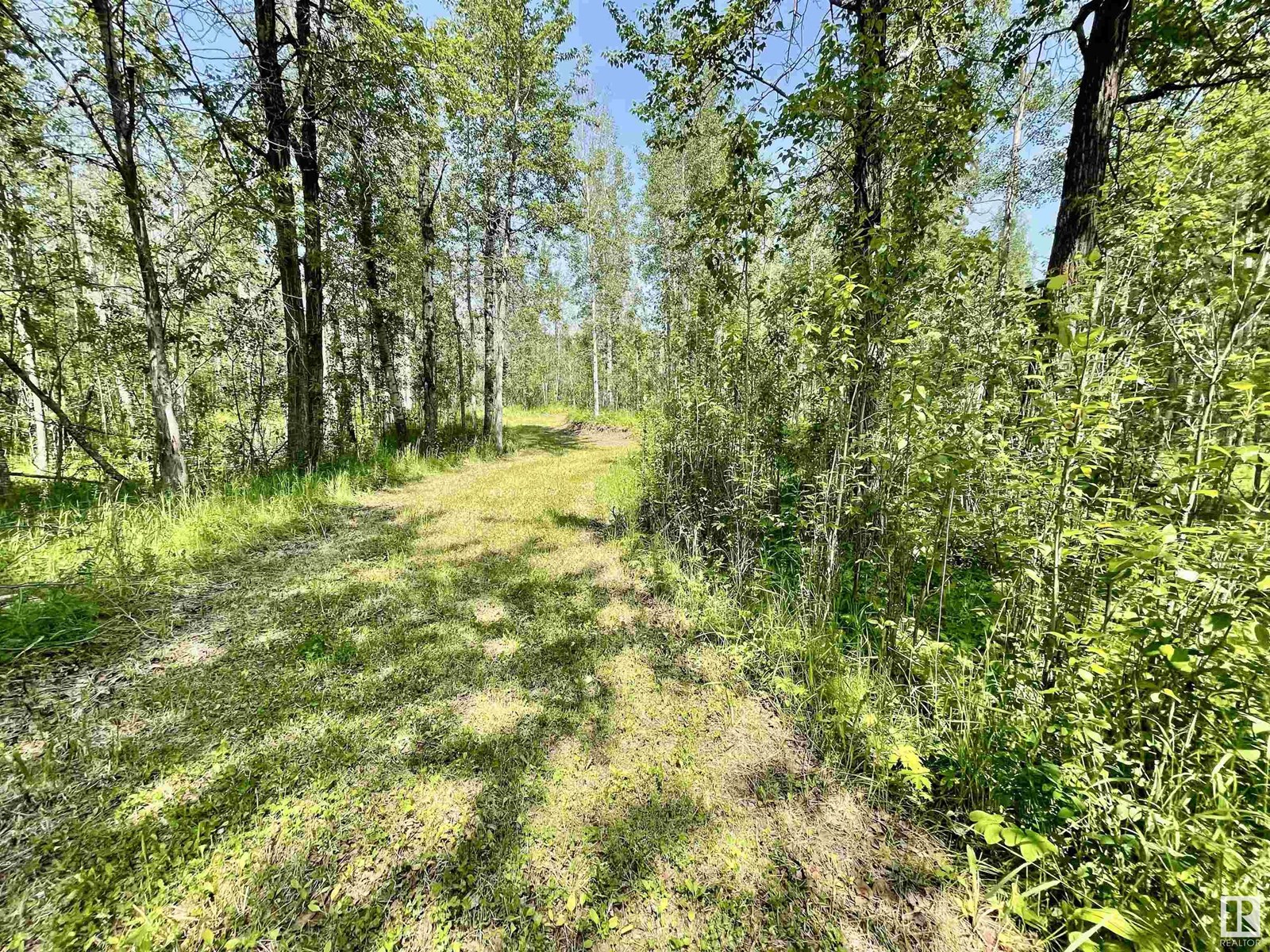#6 453041 Hwy 771, Rural Wetaskiwin County, Alberta  T0C 2V0 - Photo 15 - E4444328