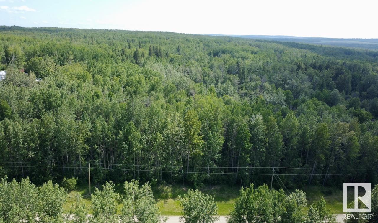 #7 53420 Rge Road 60, Rural Parkland County, Alberta  T0E 2B0 - Photo 7 - E4444428