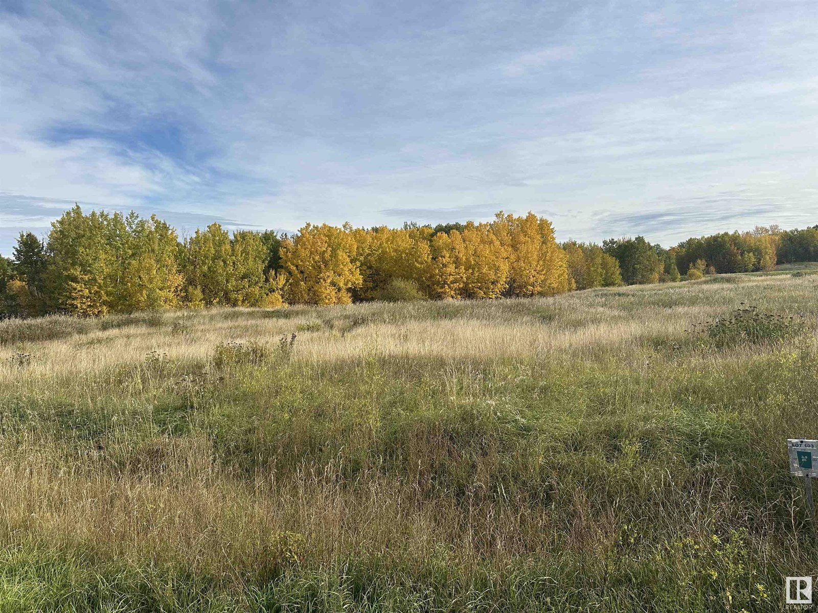 54419 Rge Road 14, Rural Lac Ste. Anne County, Alberta  T0E 0J0 - Photo 5 - E4444521