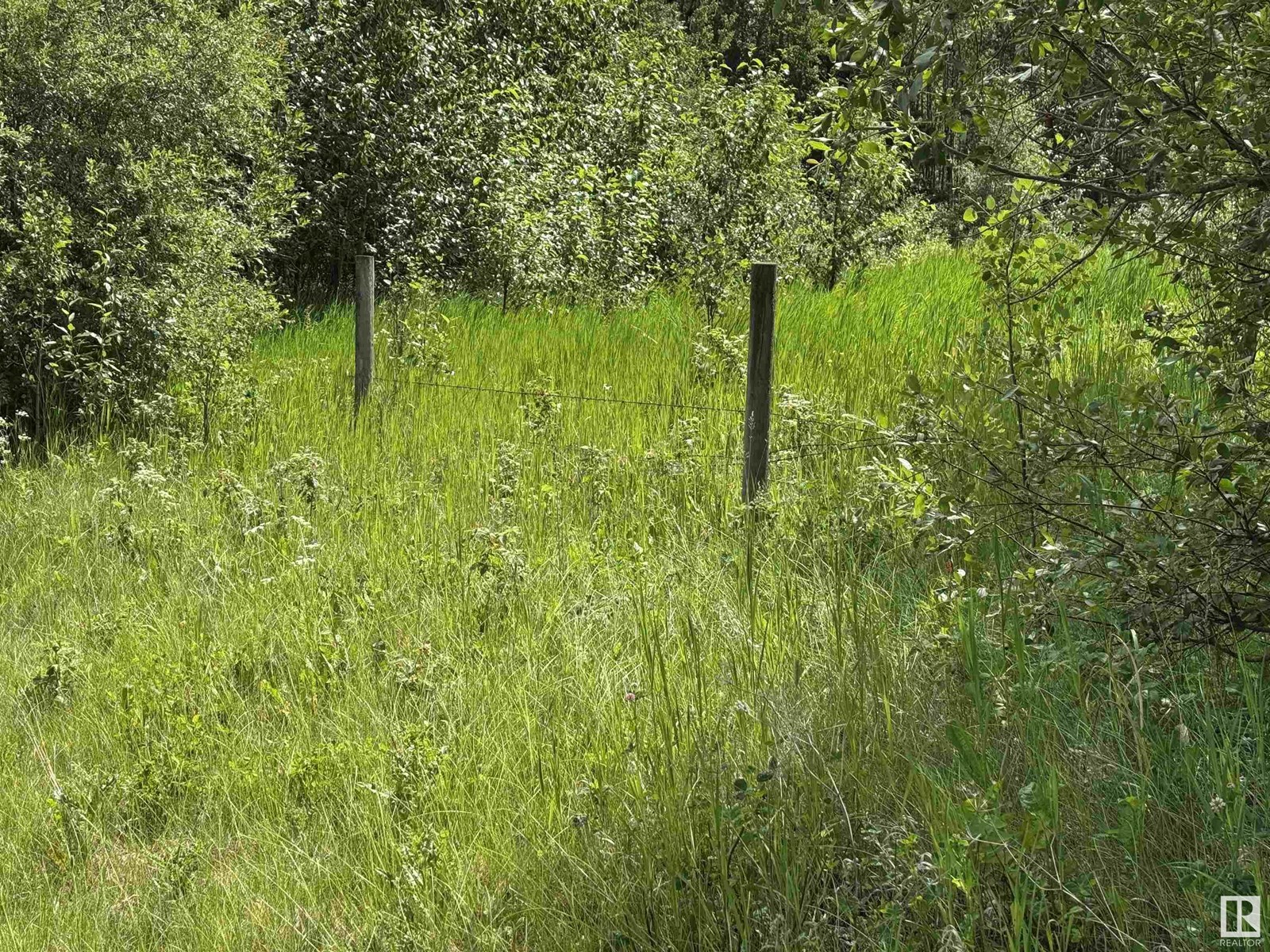 On Township Road 522, Rural Parkland County, Alberta  T0E 2B0 - Photo 12 - E4445728