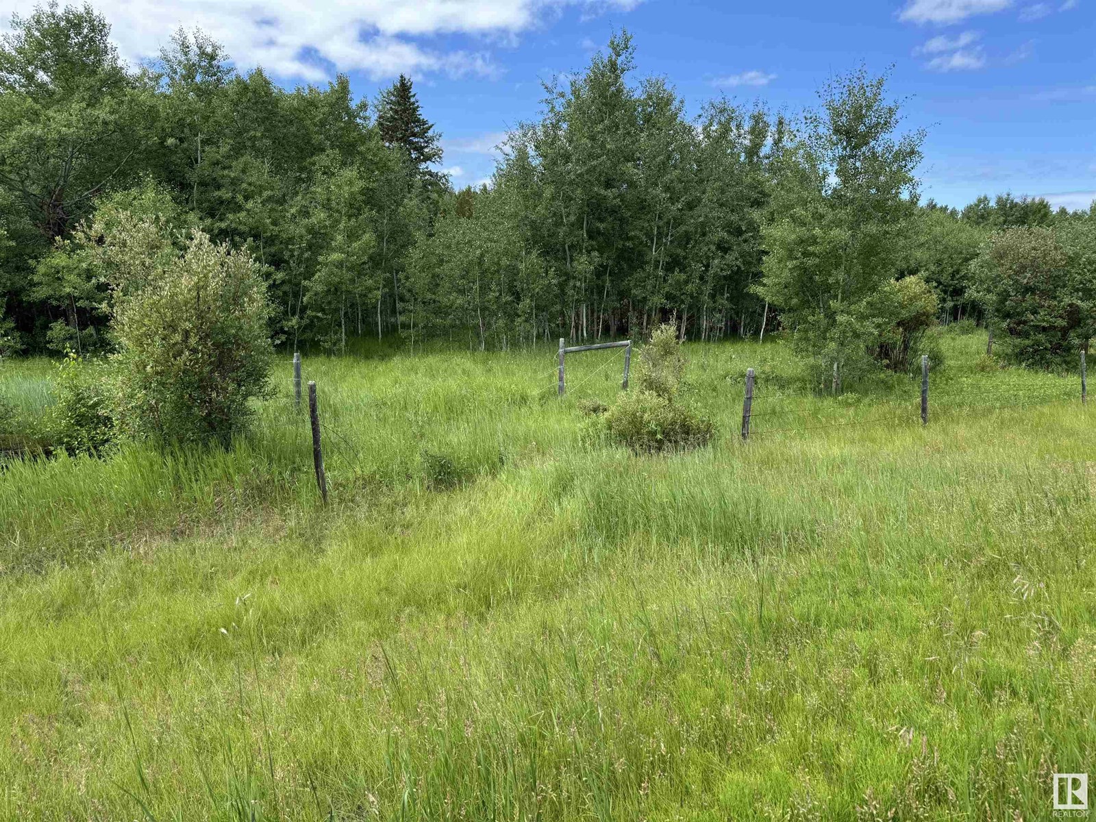 On Township Road 522, Rural Parkland County, Alberta  T0E 2B0 - Photo 13 - E4445728