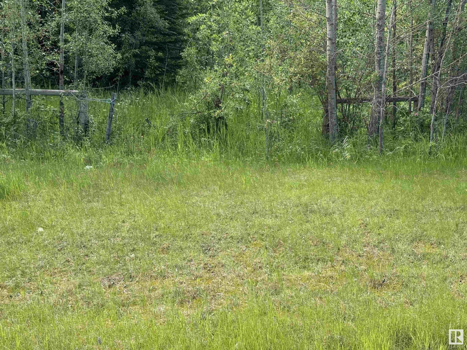 On Township Road 522, Rural Parkland County, Alberta  T0E 2B0 - Photo 14 - E4445728