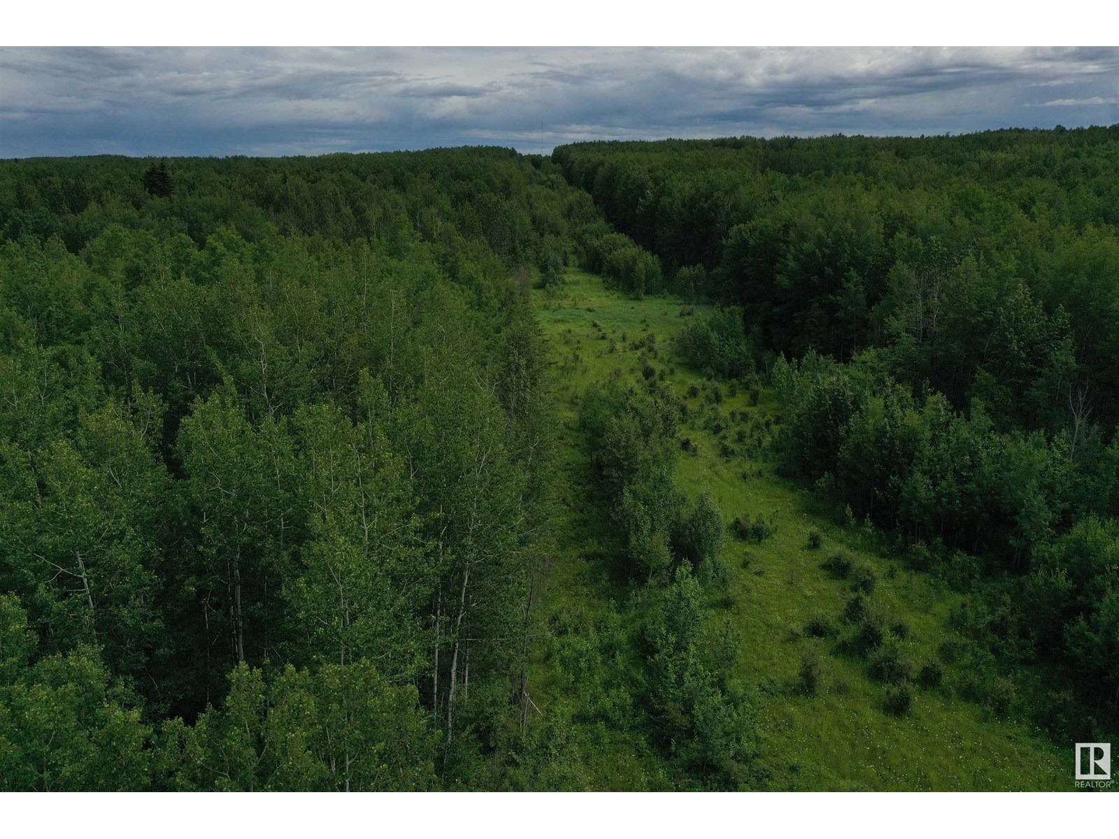 On Township Road 522, Rural Parkland County, Alberta  T0E 2B0 - Photo 2 - E4445728