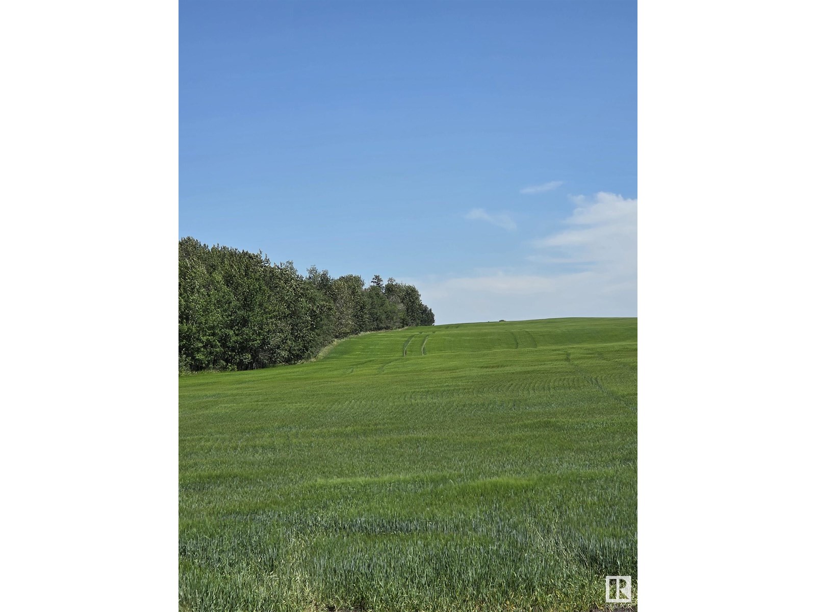 Hwy2a Rr245, Rural Leduc County, Alberta  T0C 1Z0 - Photo 1 - E4447319