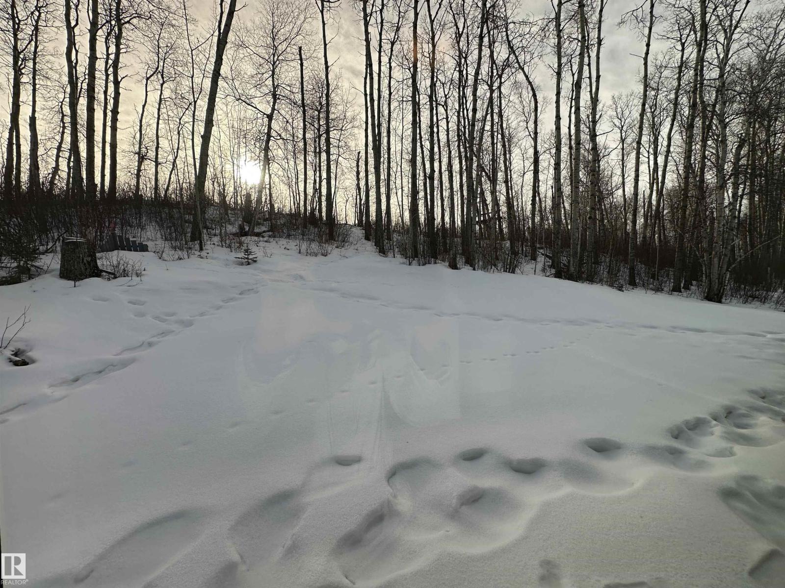 17 Hillside Cr, Rural Lac Ste. Anne County, Alberta T0E 0A0 - Photo 69 - E4448473